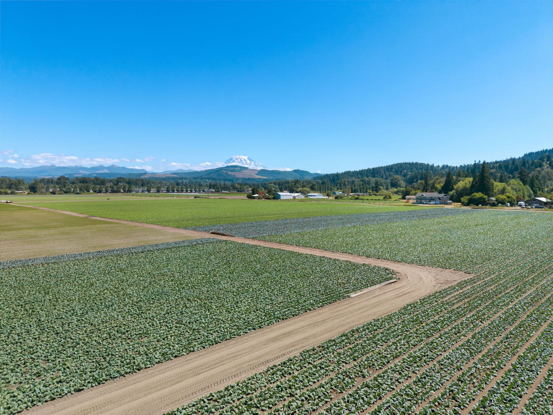 Productive crop field overview for sale Washington Mountain Harvest Farm