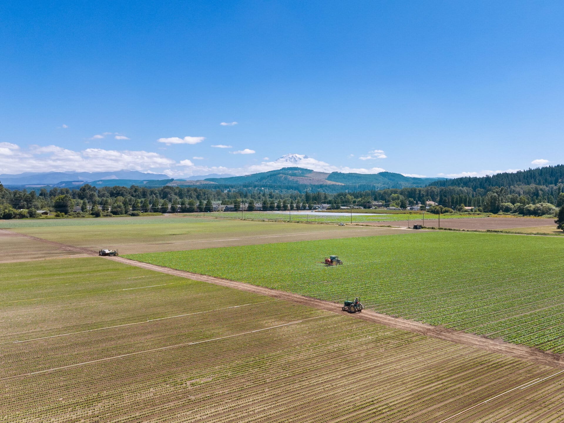 Productive farmland for sale Washington Mountain Harvest Farm