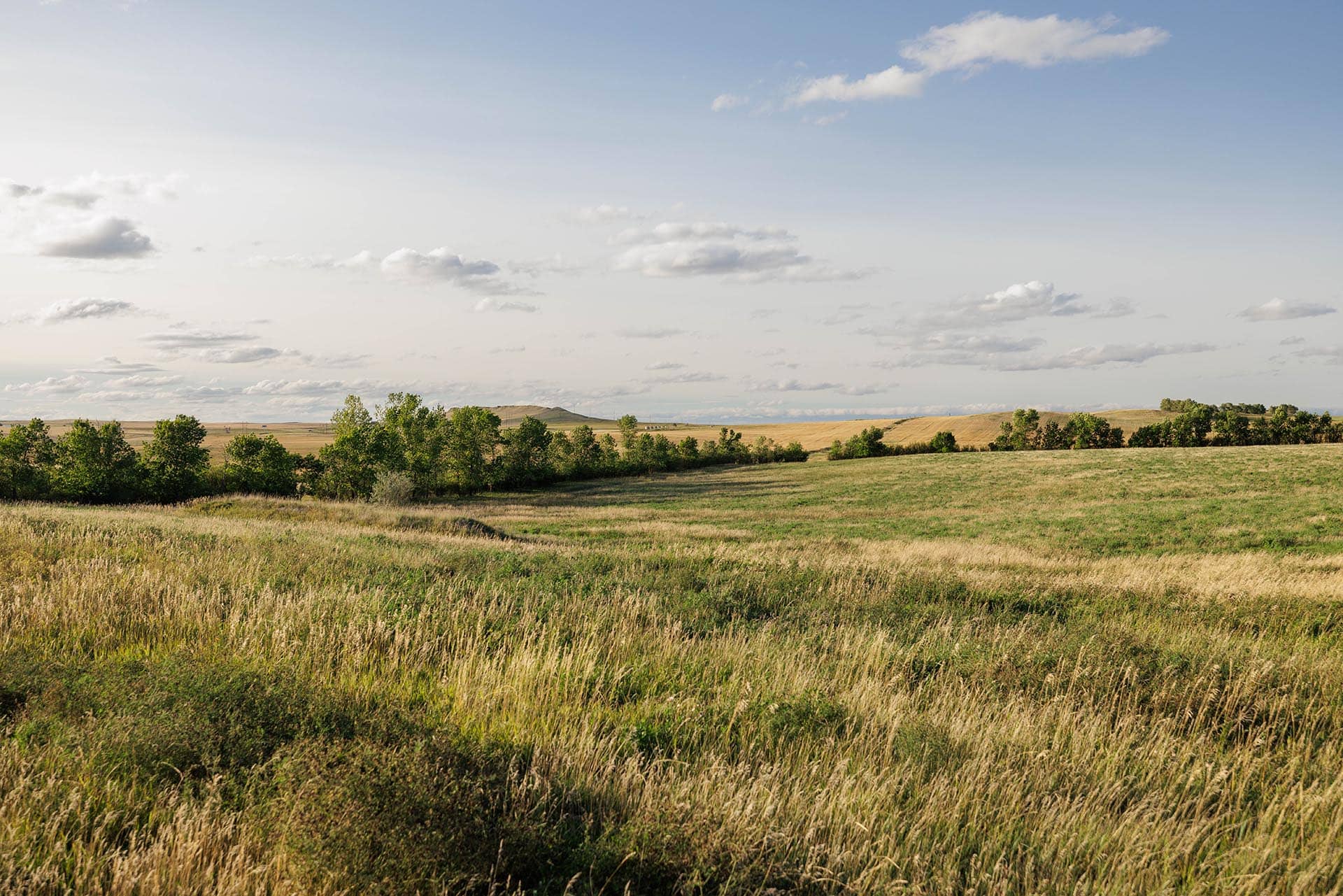 Rural business property North Dakota Red Moon Ranch