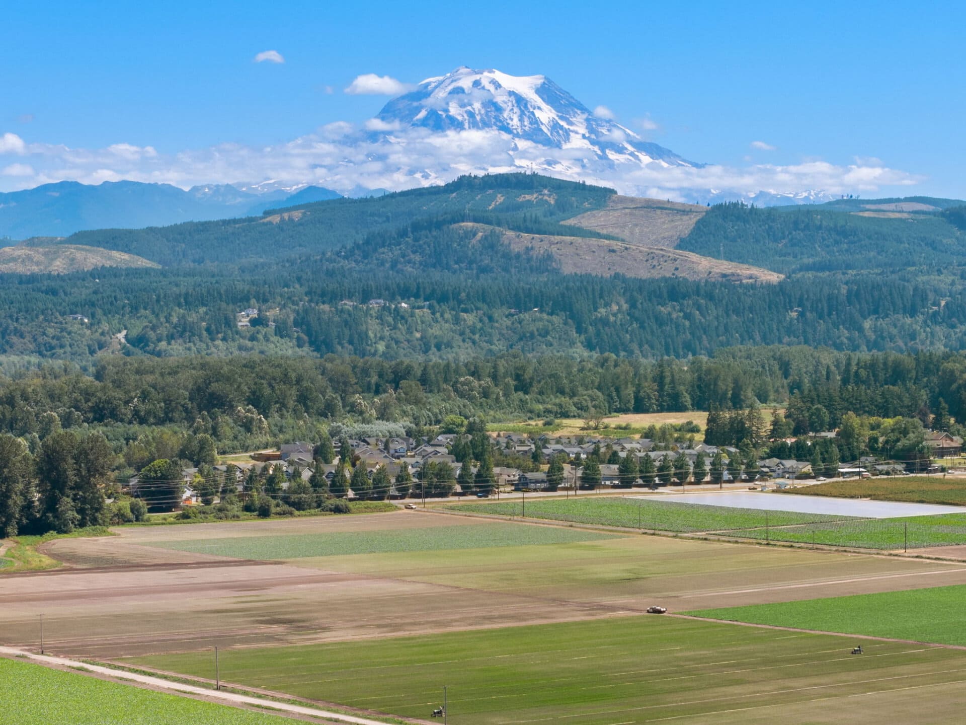 Scenic farm for sale Washington Mountain Harvest Farm