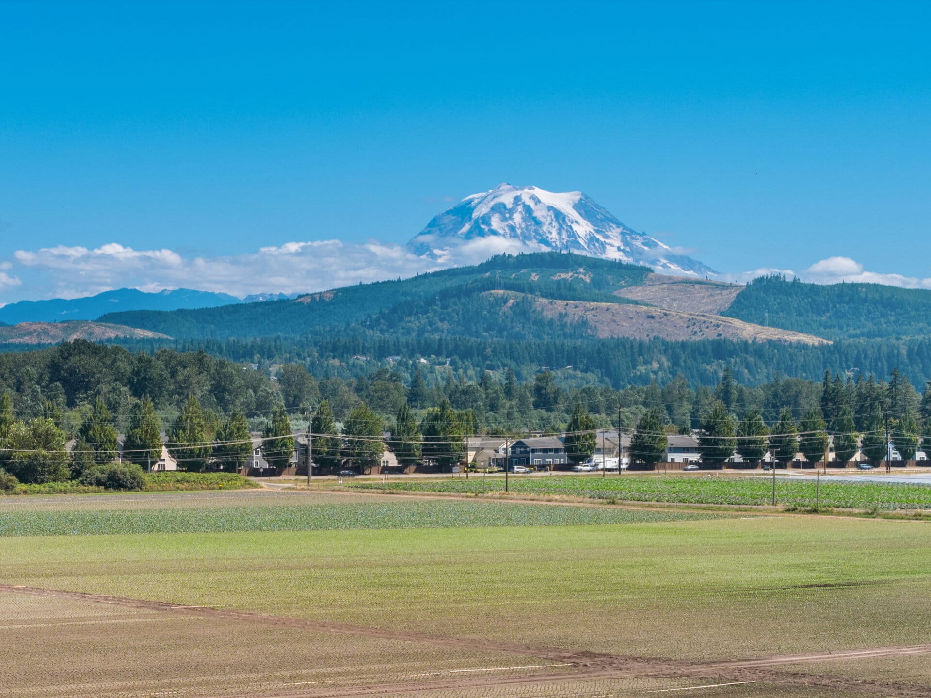 Scenic farmland for sale Washington Mountain Harvest Farm