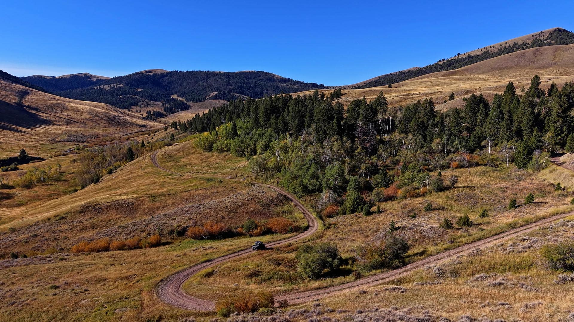 Southwest Montana Hunting Property Montana Small Horn Canyon Ranch
