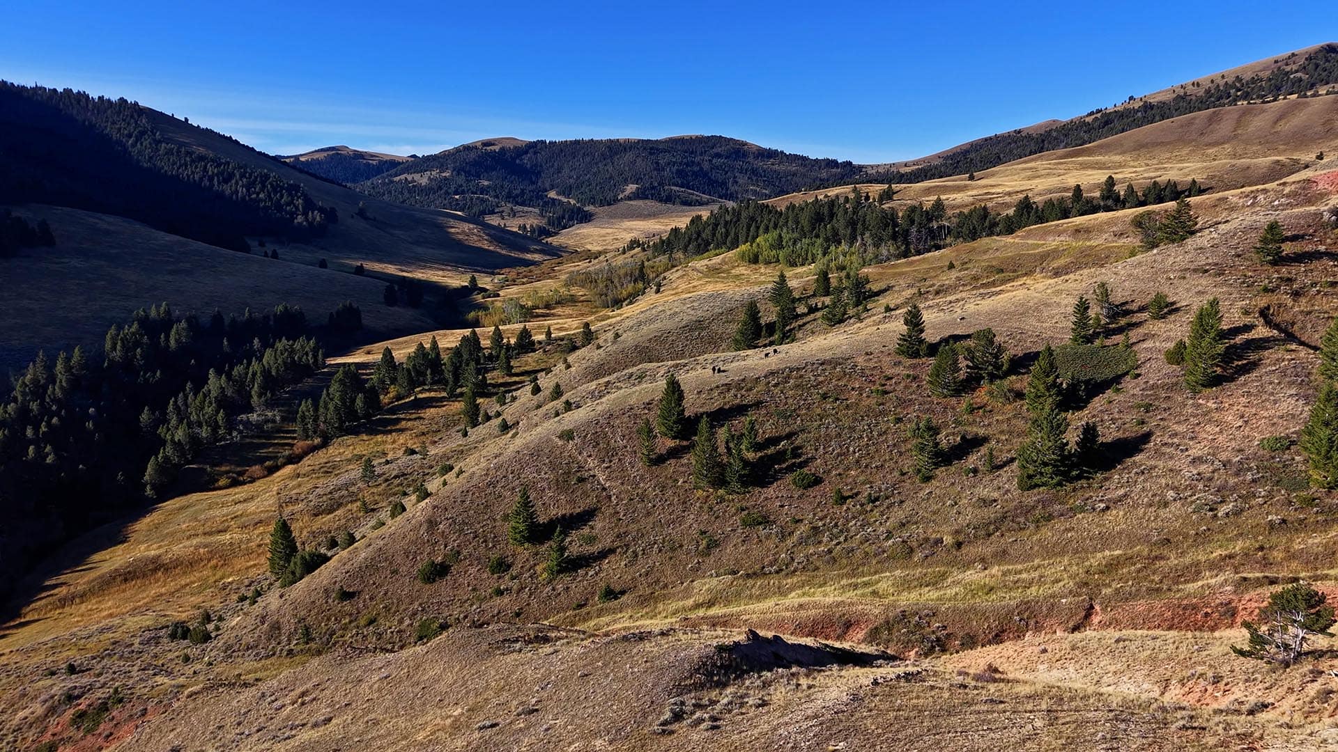 Southwest Montana Ranch Land Montana Small Horn Canyon Ranch