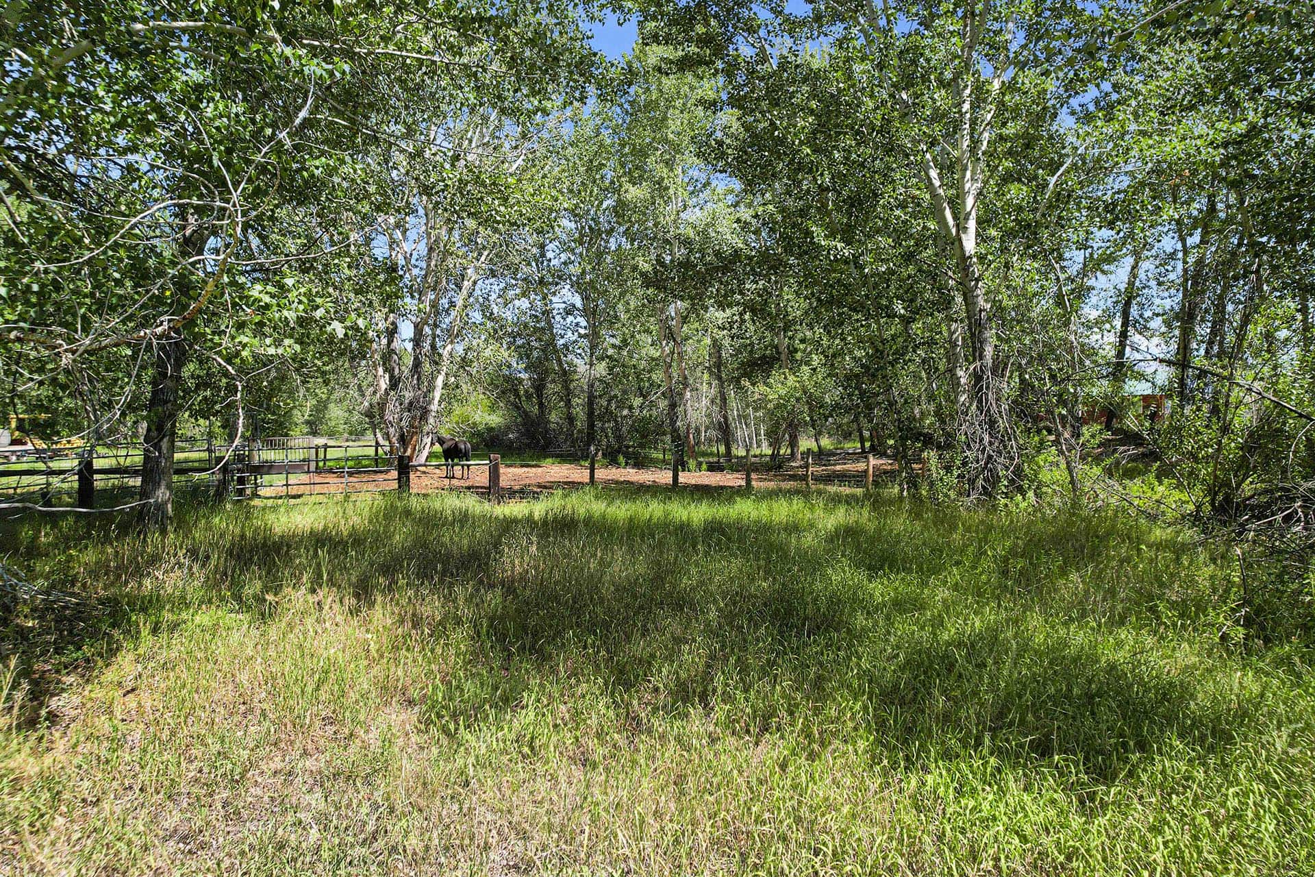 stock grazing pasture idaho circle rg ranch