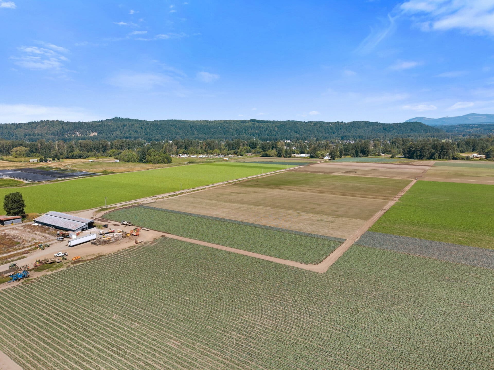 Thriving farm crop fields for sale Washington Mountain Harvest Farm
