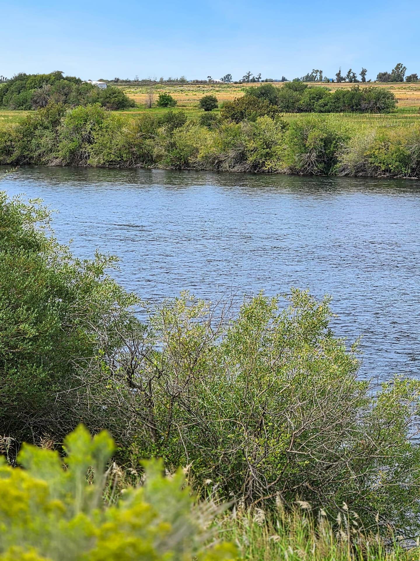 Upper Henry's Fork Idaho Chester Confluence Ranch.