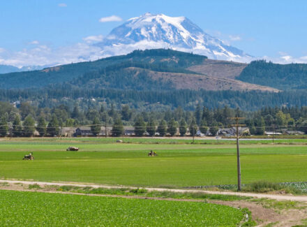 Washington farm for sale Mountain Harvest Farm