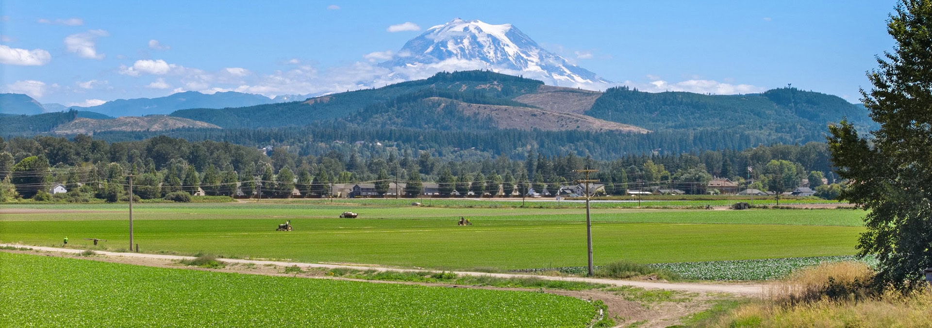 Washington farm for sale Mountain Harvest Farm