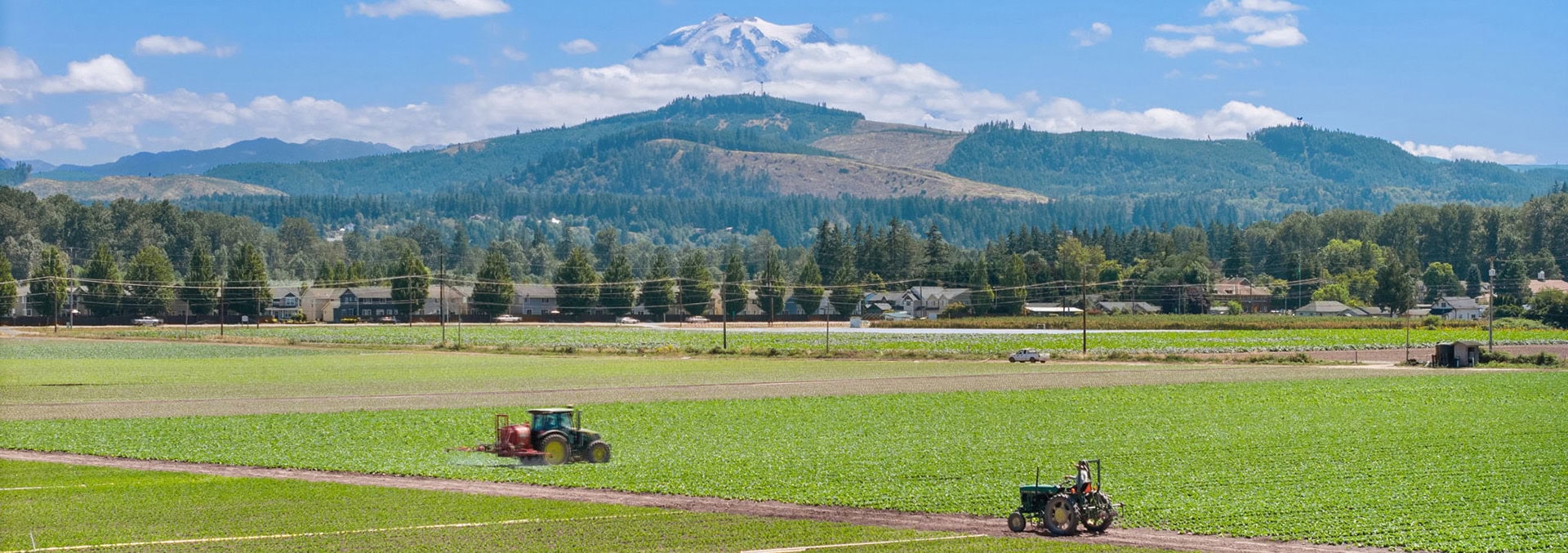 Washington property for sale Mountain Harvest Farm