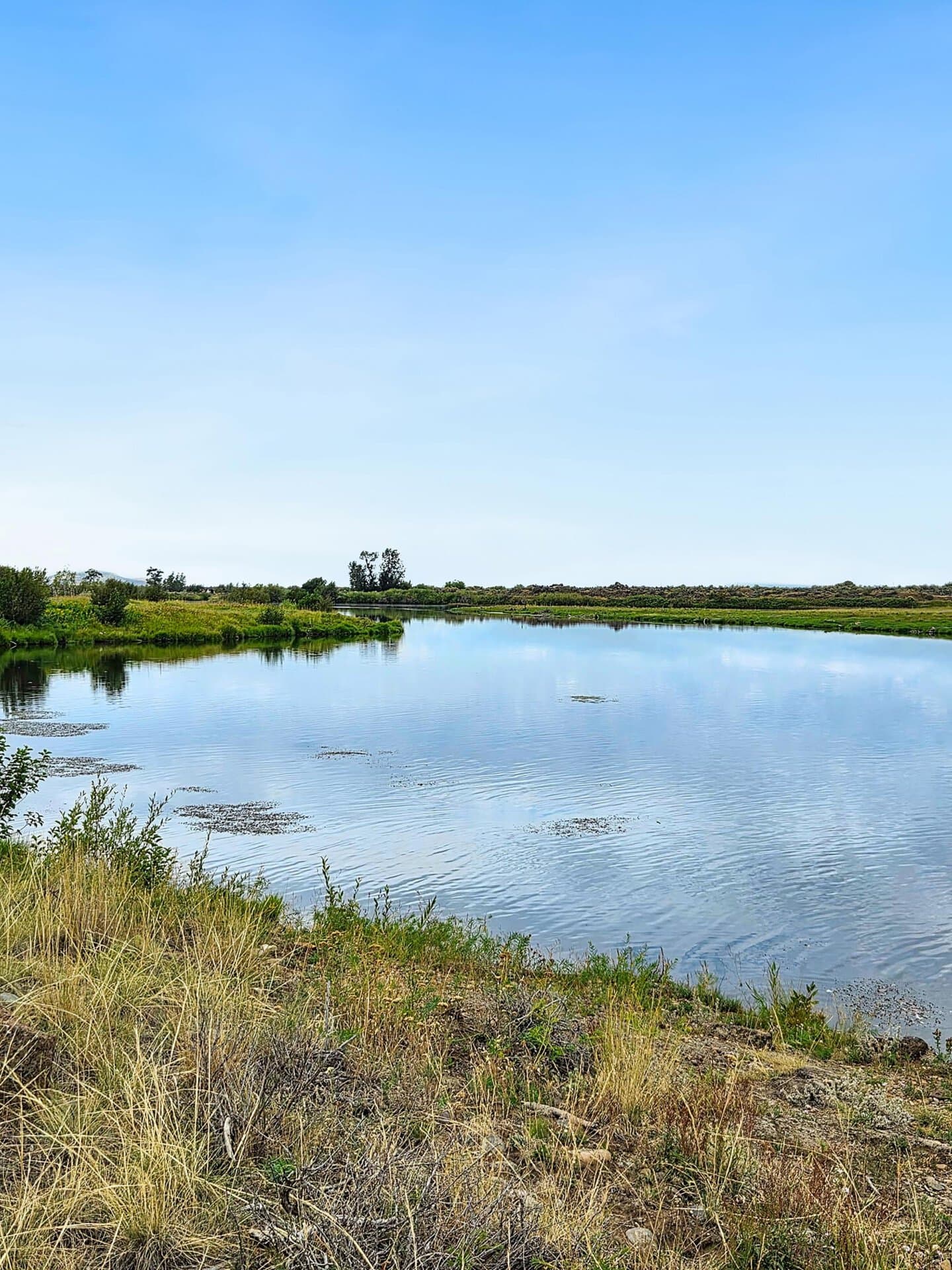 Waterfowl Landing Zone Idaho Chester Confluence Ranch