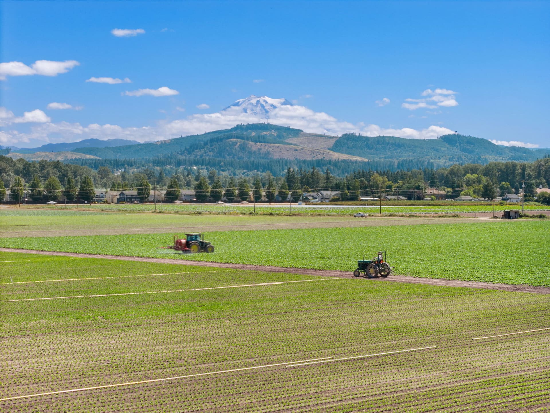 Working farm fields for sale Washington Mountain Harvest Farm