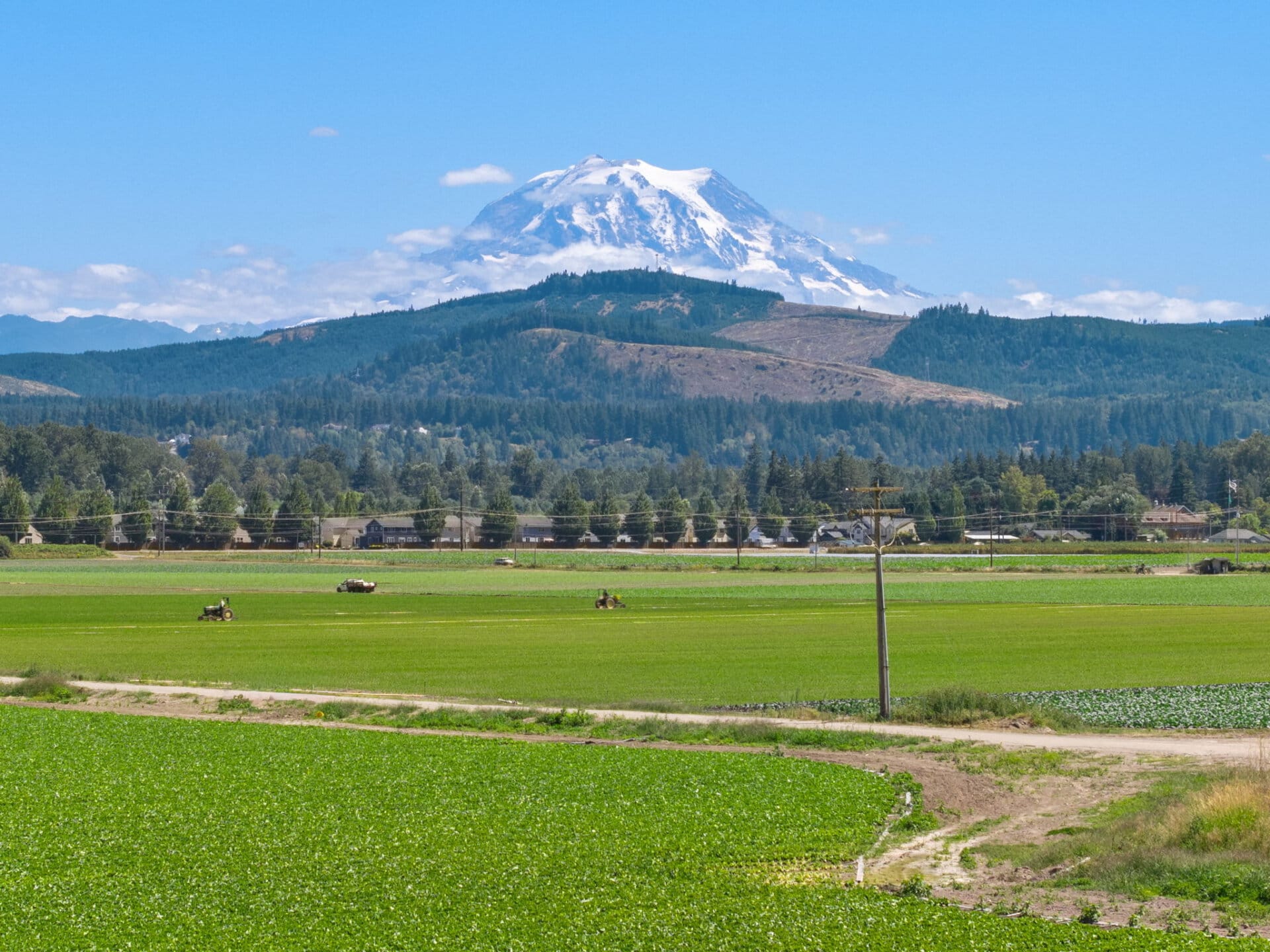 Working farm with mountain views for sale Washington Mountain Harvest Farm