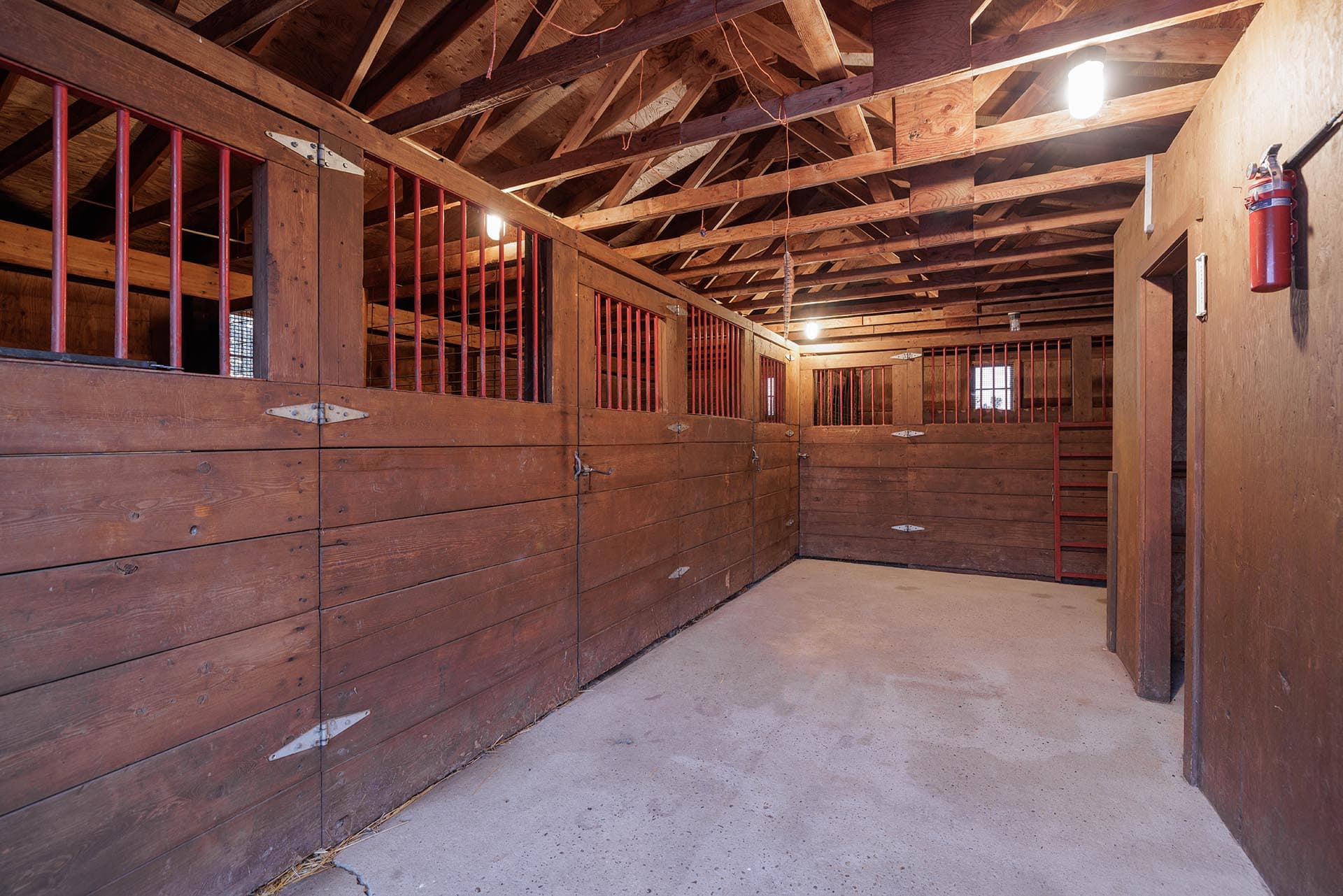 Working horse ranch North Dakota Red Moon Ranch