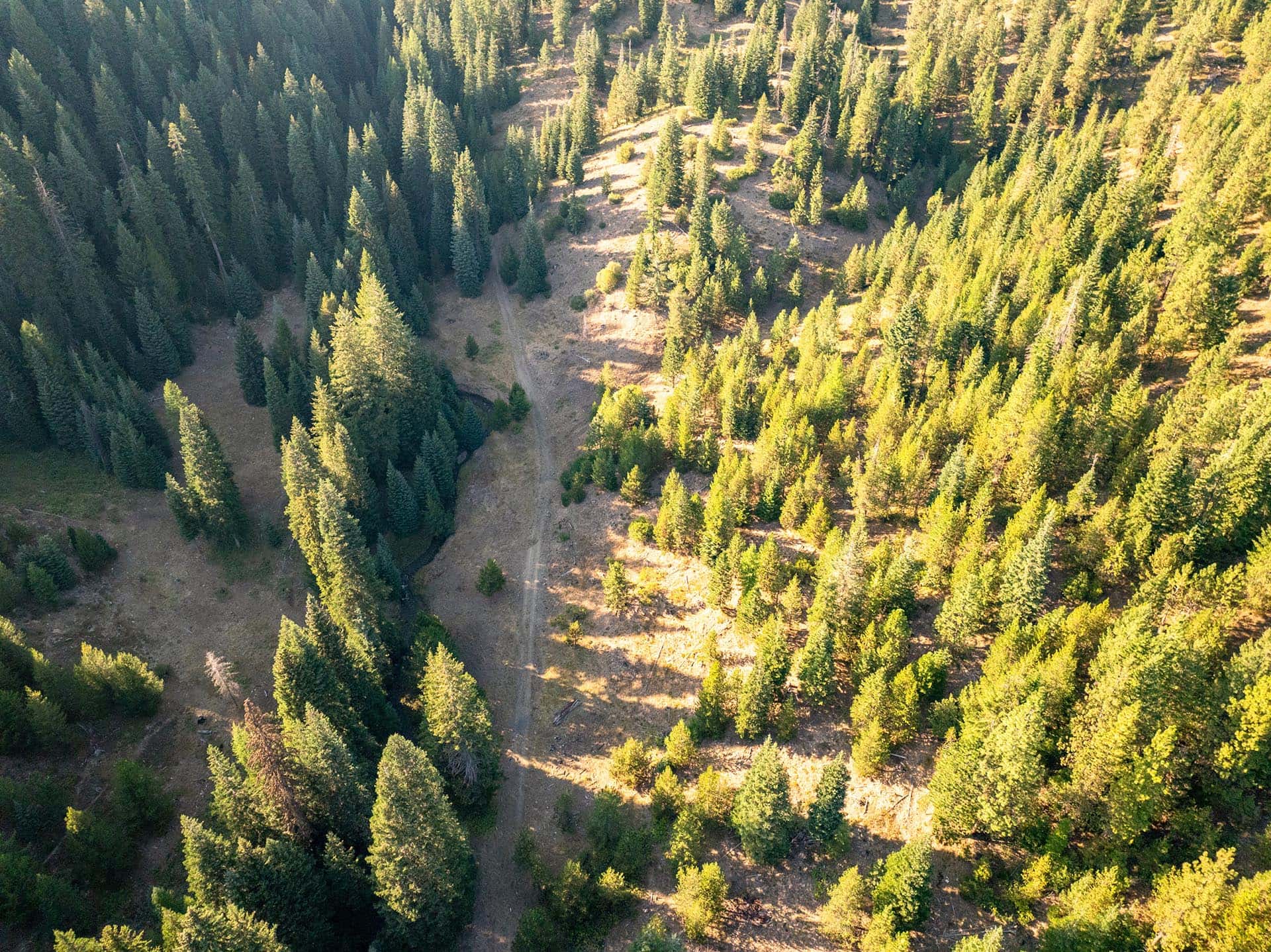 aerial forest road ranch oregon goose creek getaway