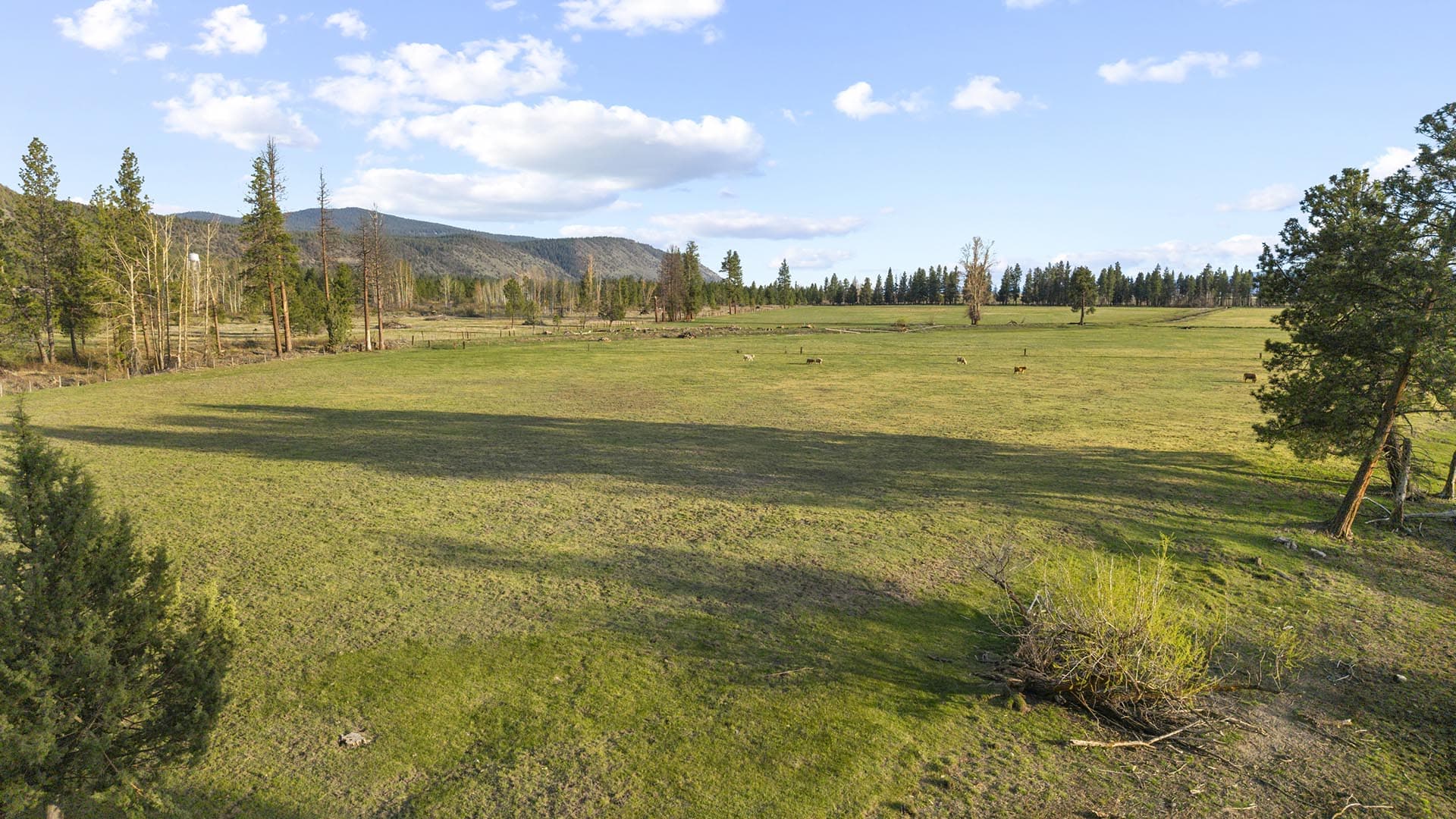 ag land for sale oregon river bend ranch