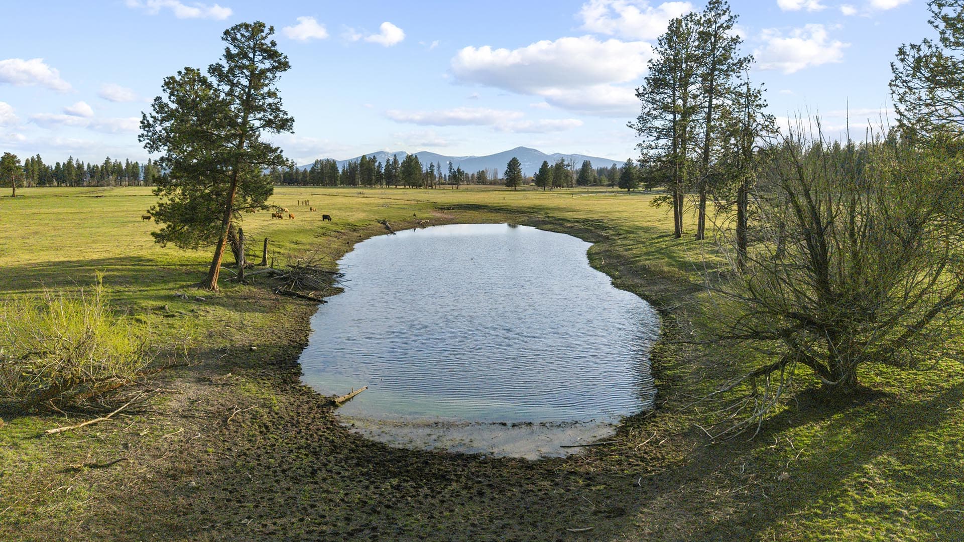 ag production land for sale oregon river bend ranch