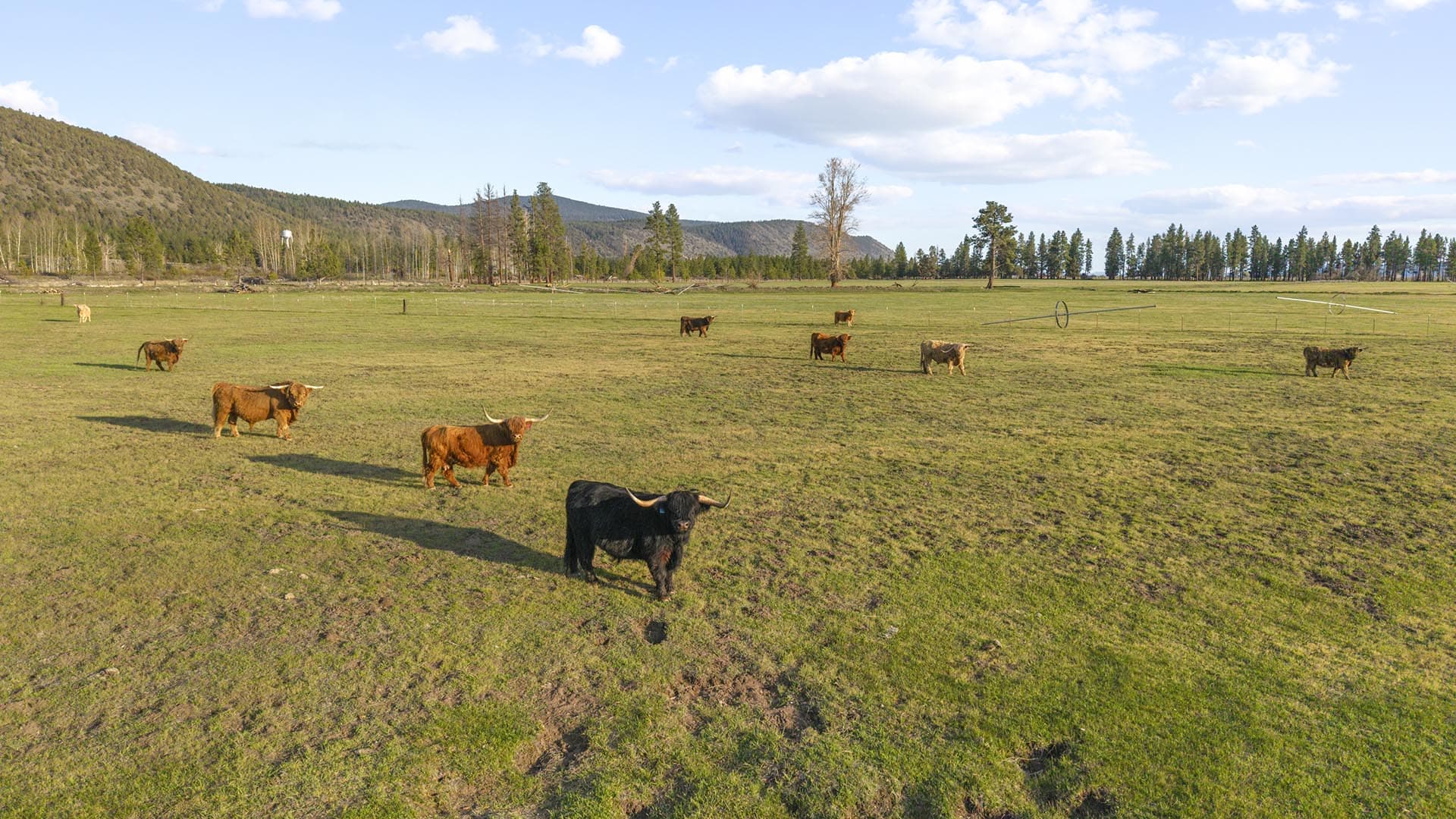 ag production property for sale oregon river bend ranch