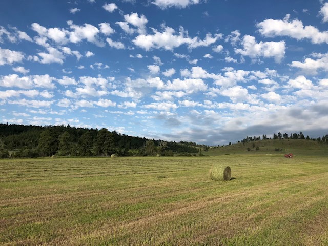 agricultural land for sale mt montana greycliff hunting preserve