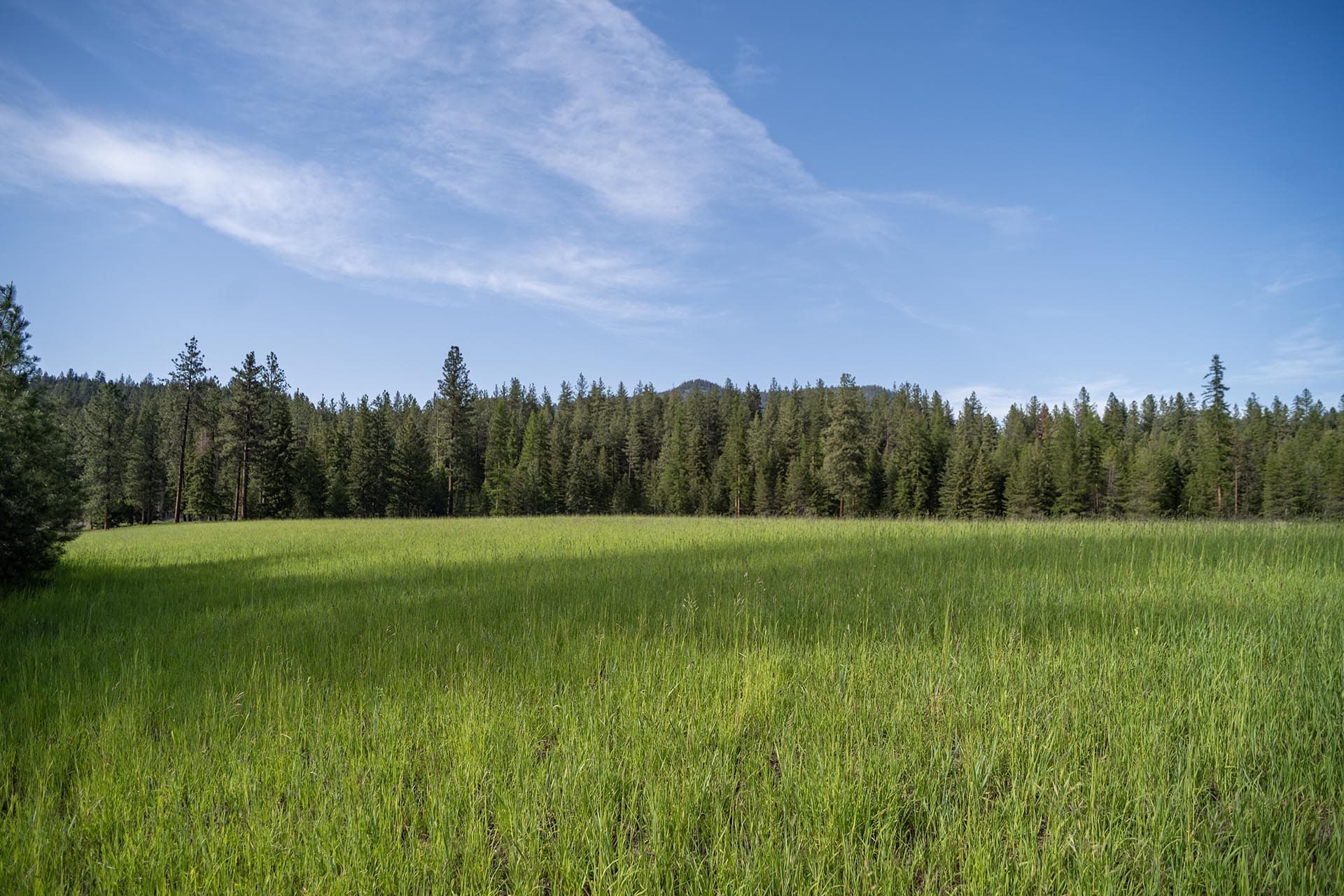 beautiful meadow montana clark fork timeless river retreat