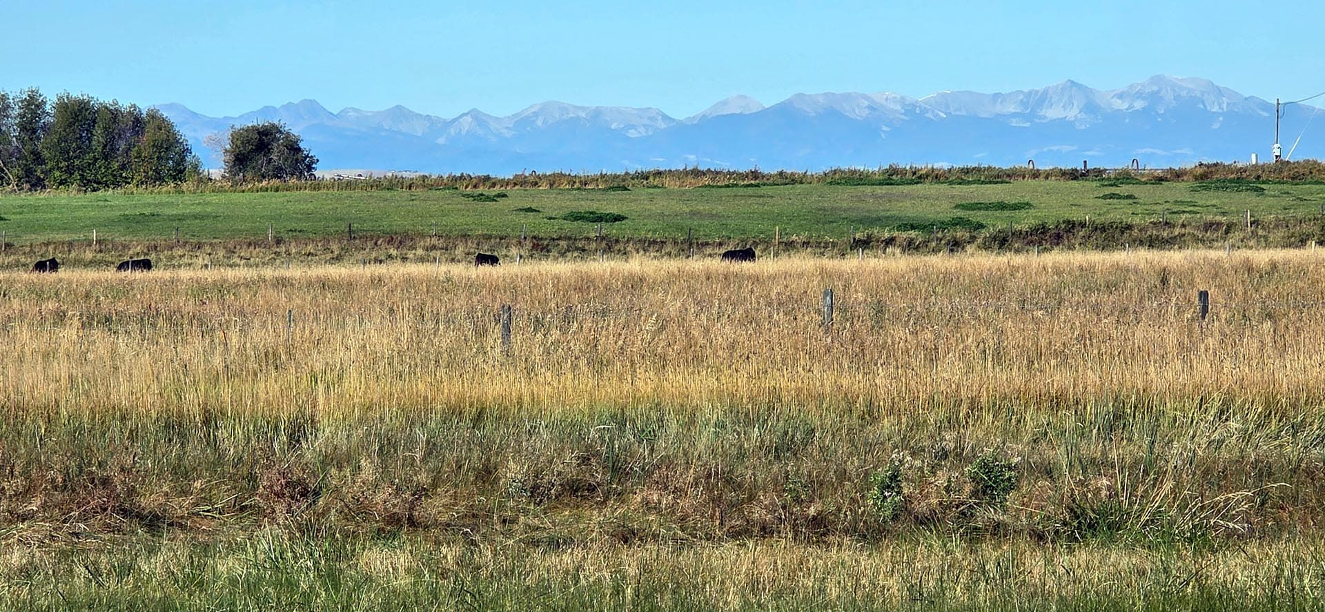 cattle grazing land for sale montana west bozeman homestead