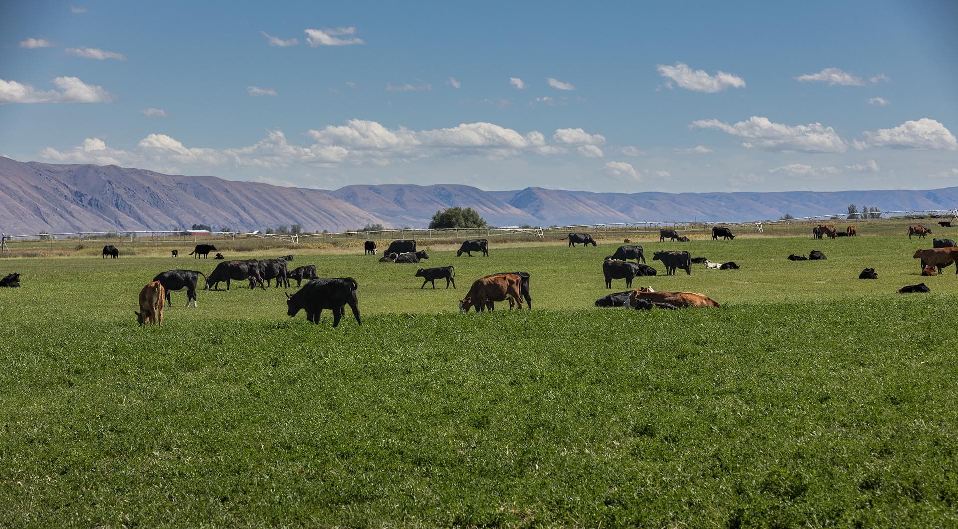 cattle ranch for sale idaho wallentine ranch