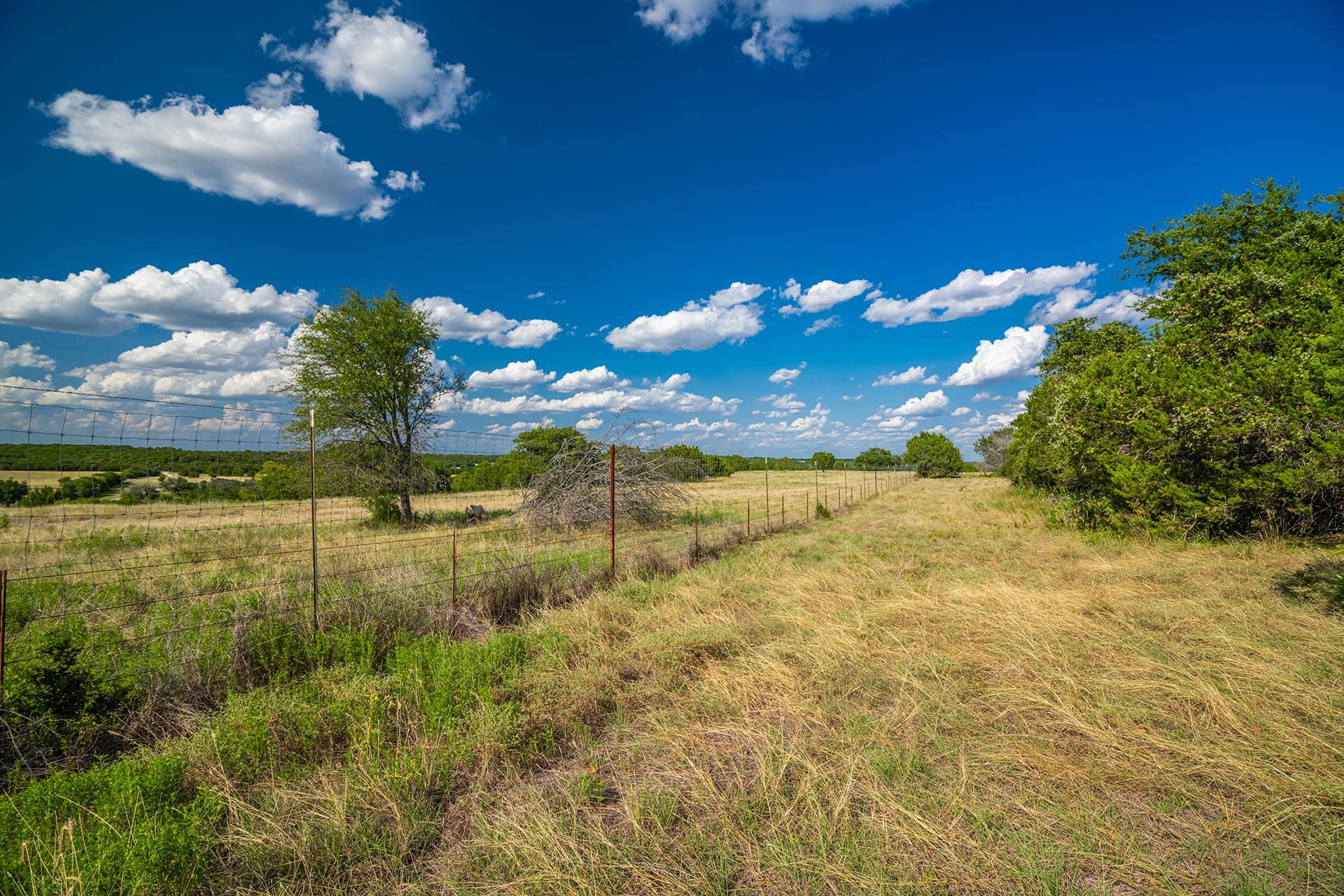 cattle working pens texas gary creek ranch