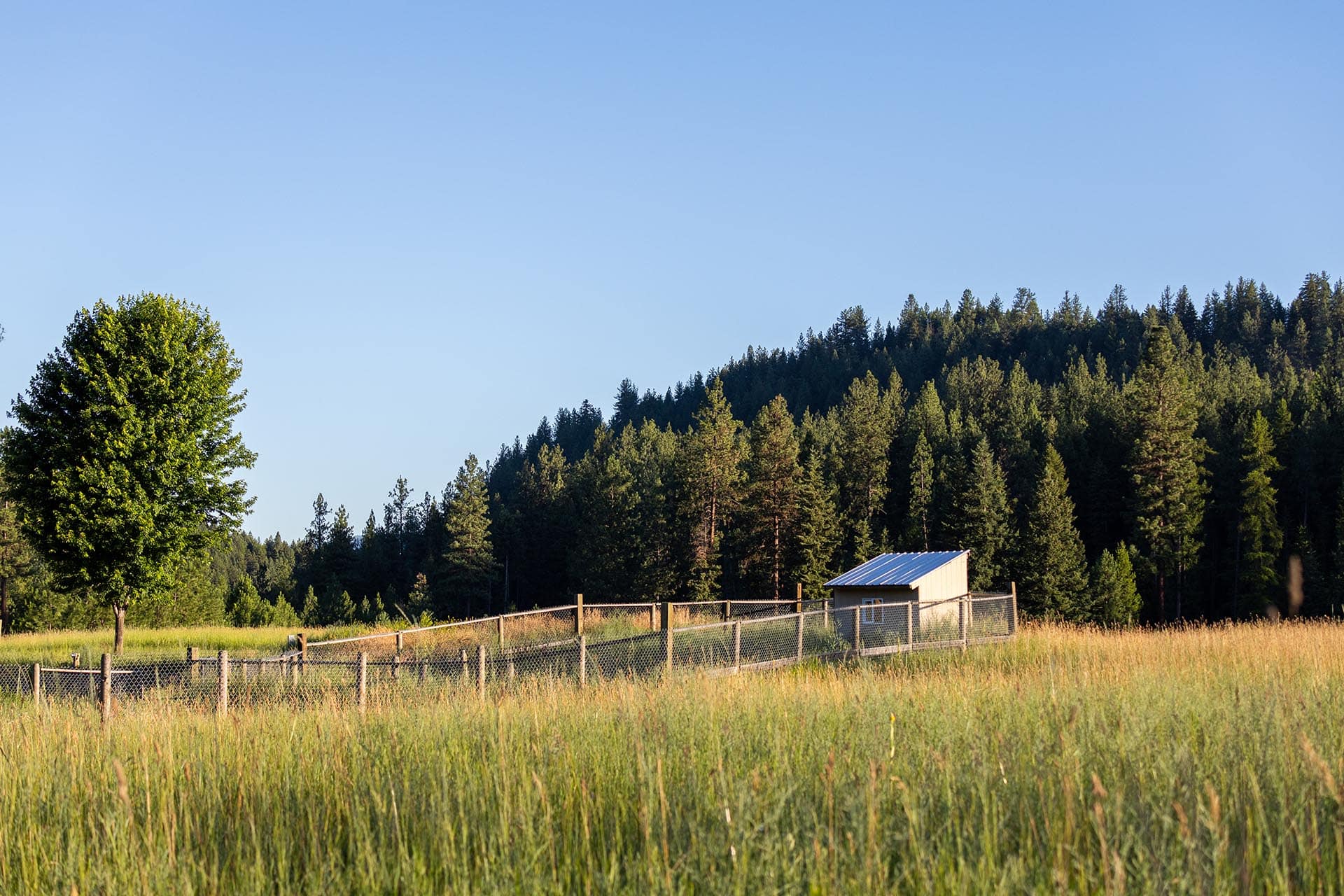 chicken run montana clark fork timeless river retreat