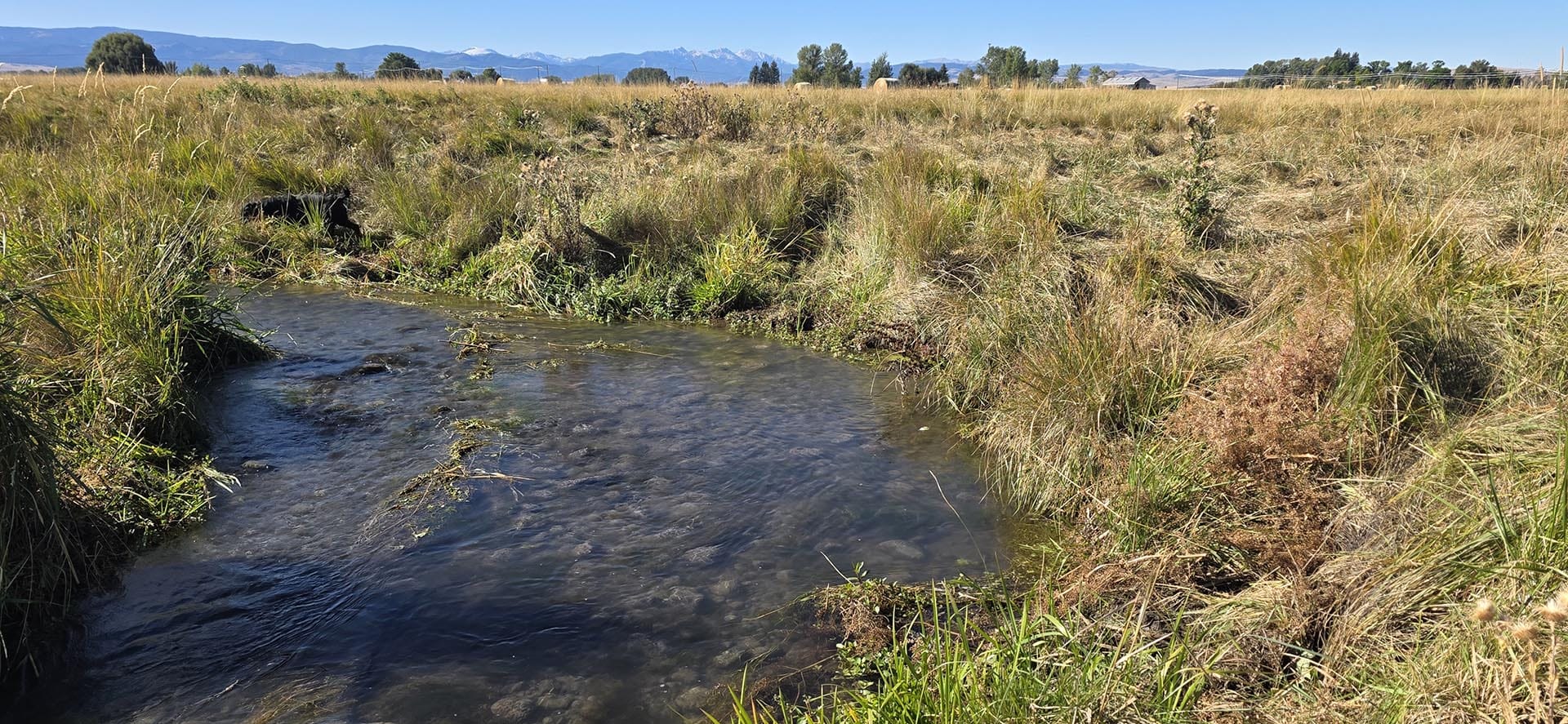 clear water stream land for sale montana west bozeman homestead