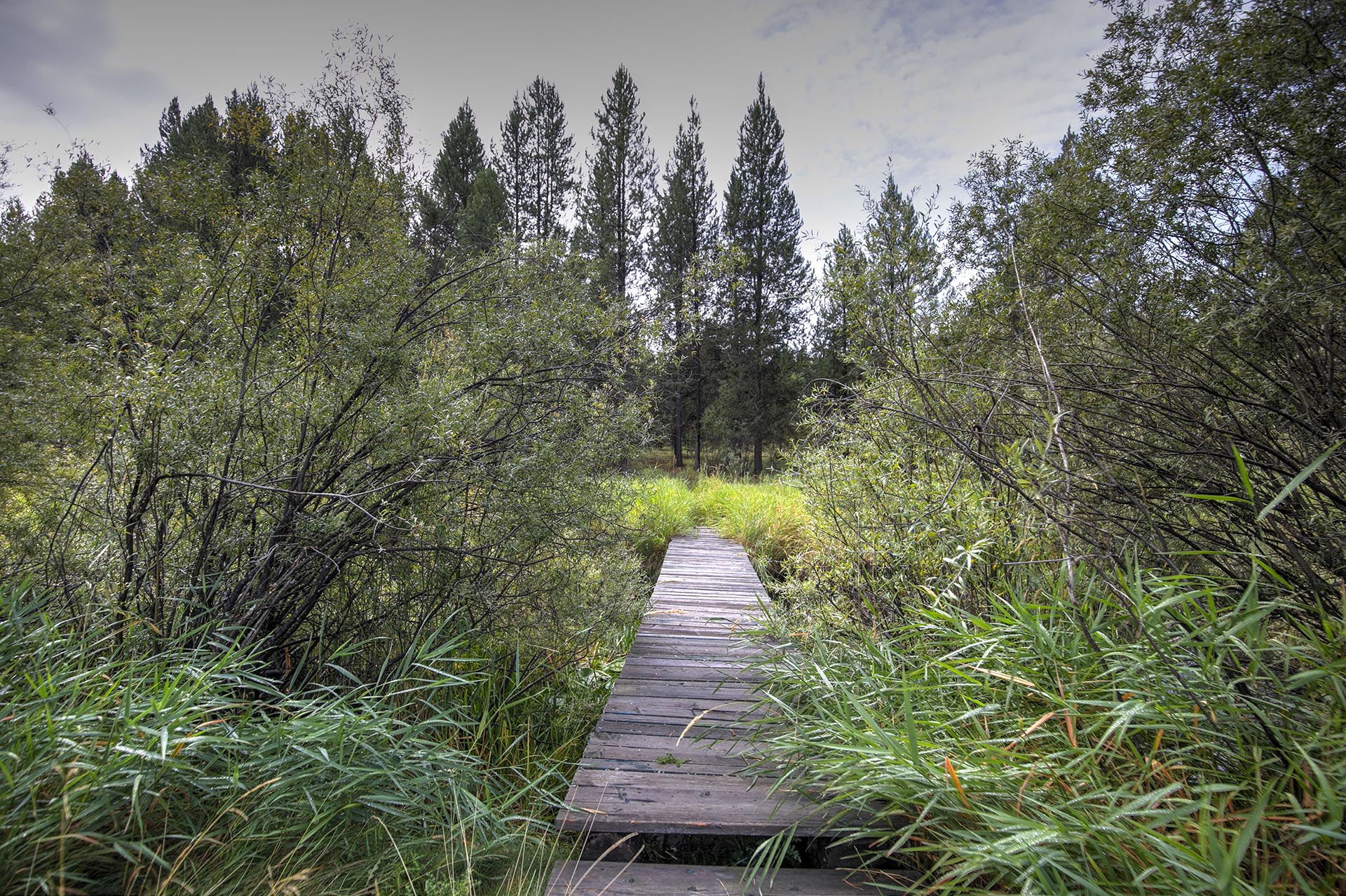 conservation easements montana little bitterroot mountain retreat