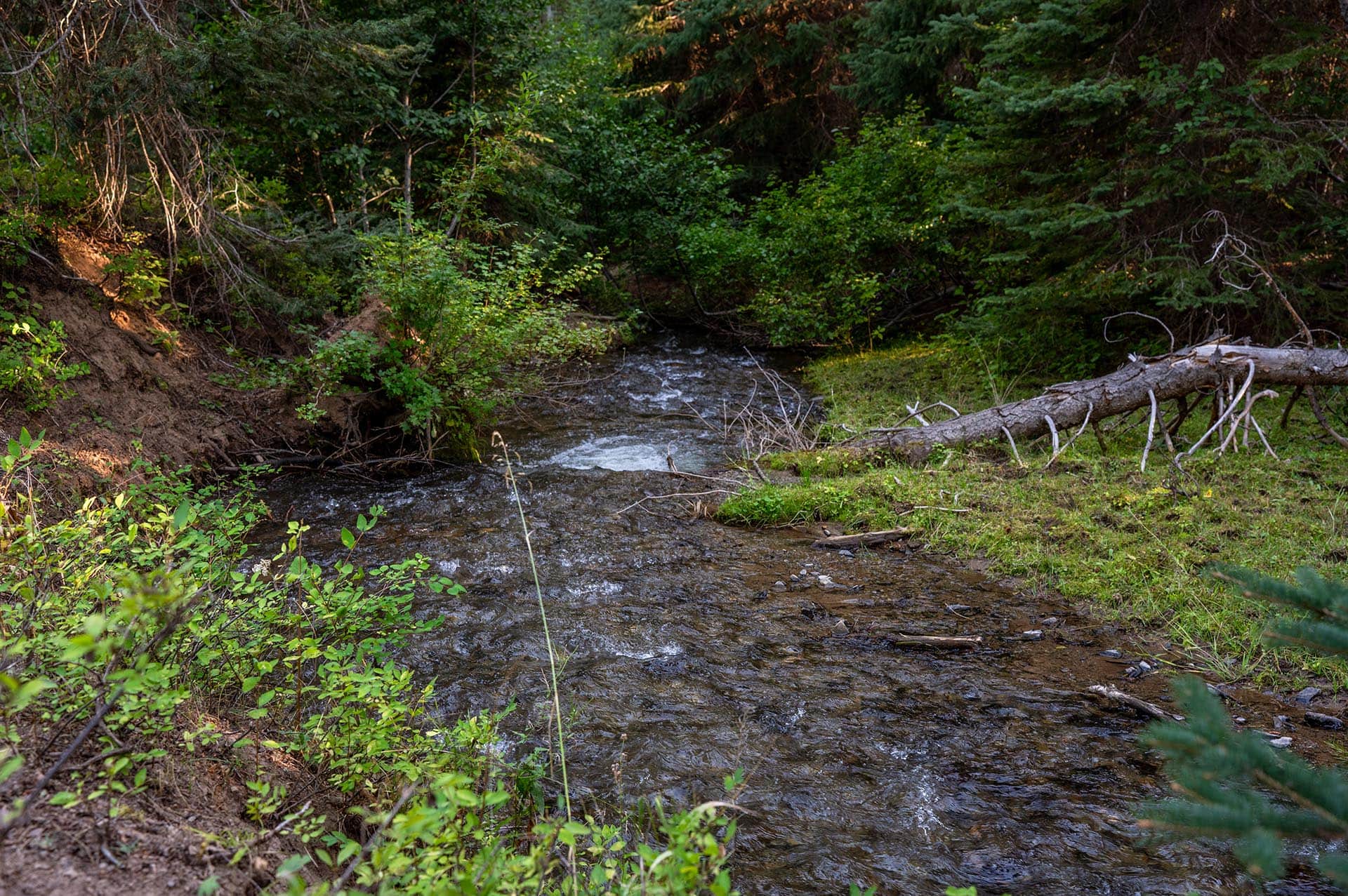 creek frontage land for sale oregon goose creek getaway