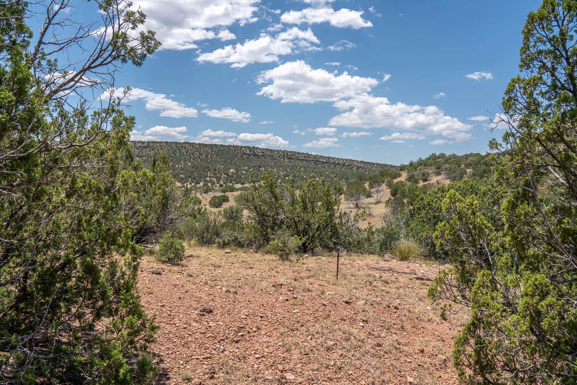 deer hunting ranch for sale new mexico eagle rock ranch
