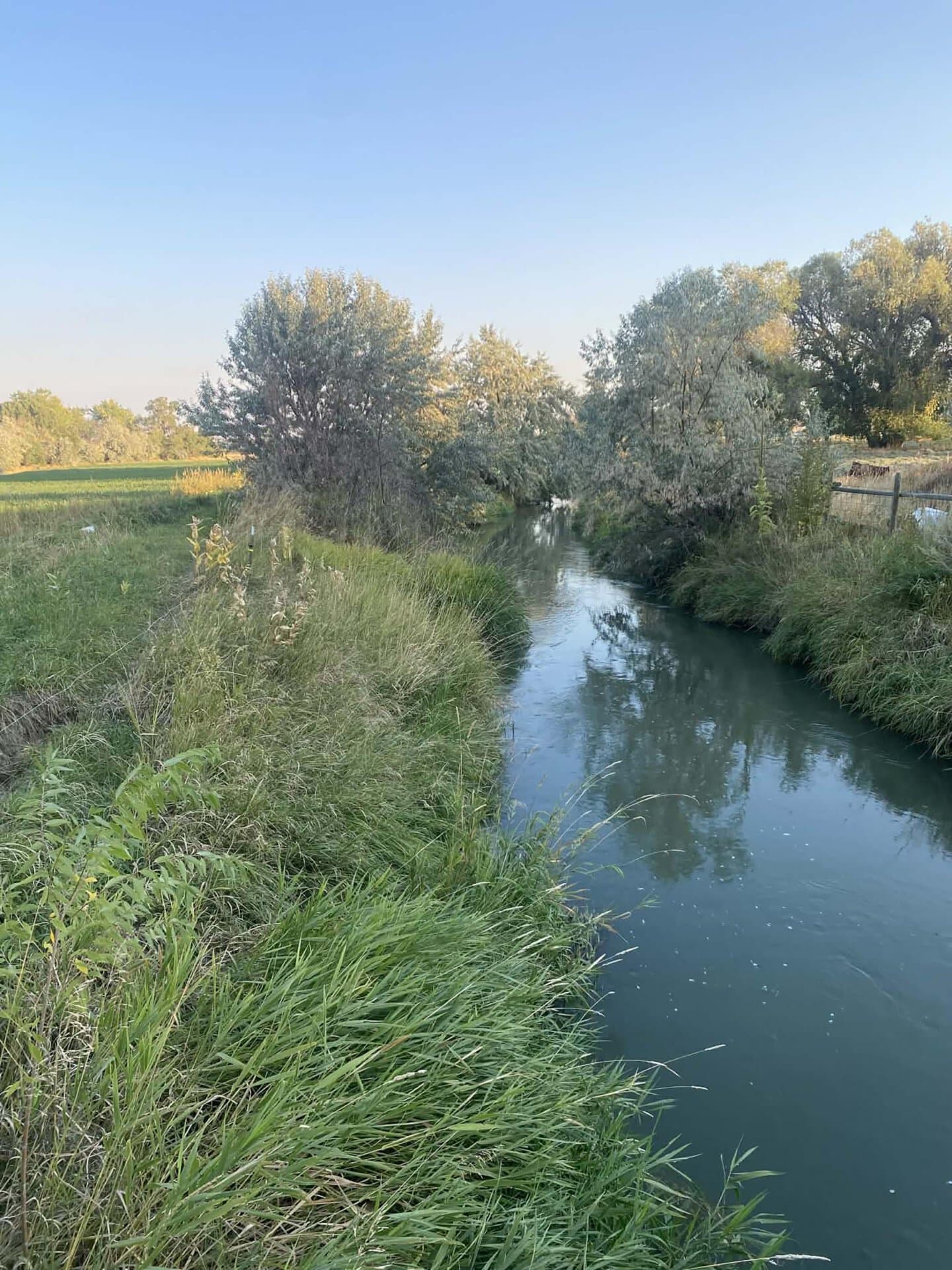 ditch in summer Montana Clarks Fork Waterfowl Camp