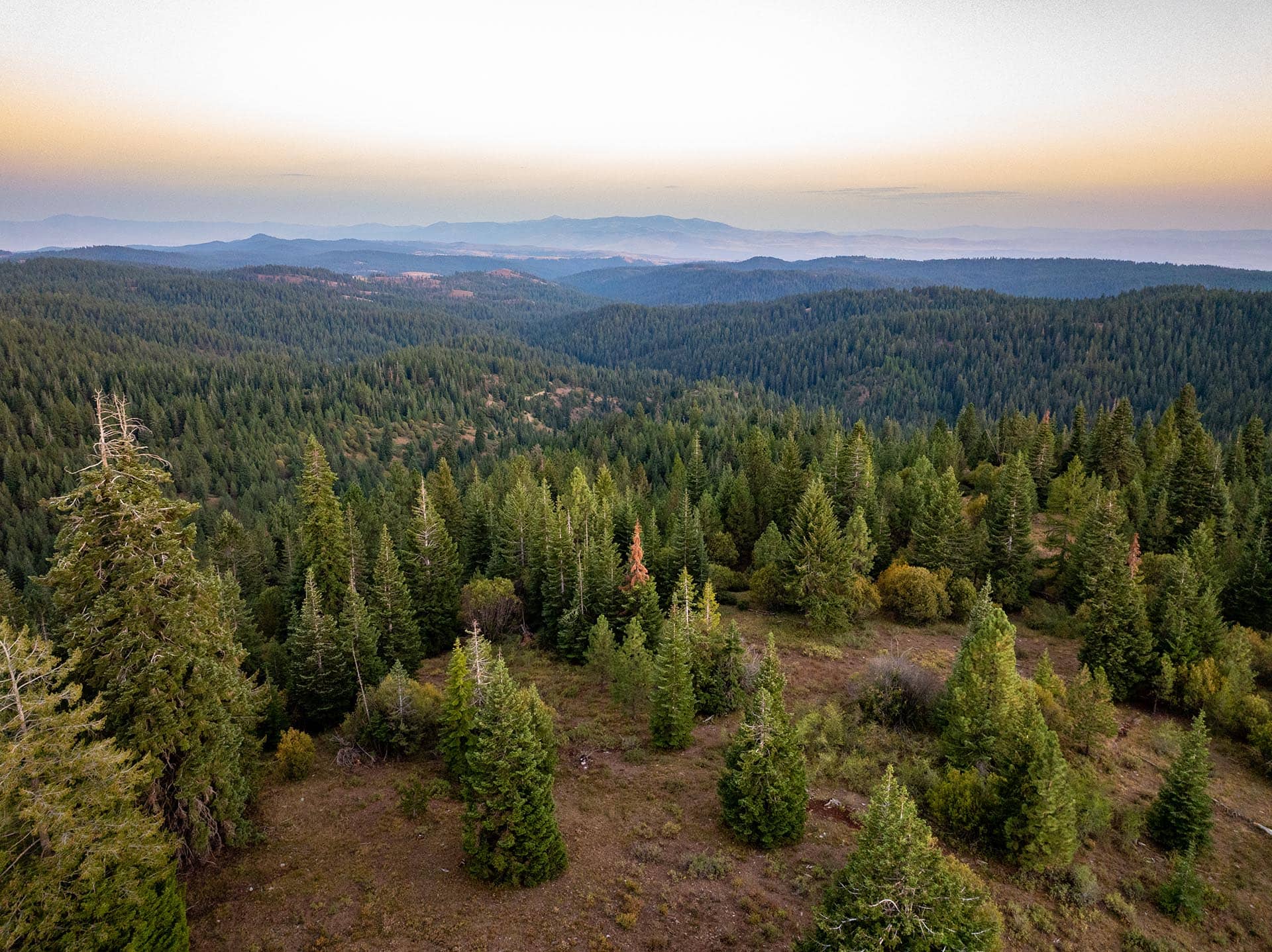 expansive timberland ranch oregon goose creek getaway