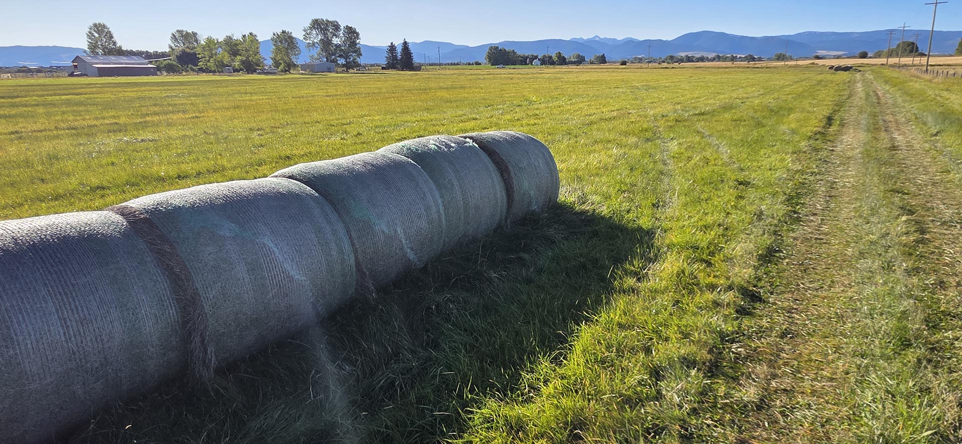 farm track hay bales land montana west bozeman homestead