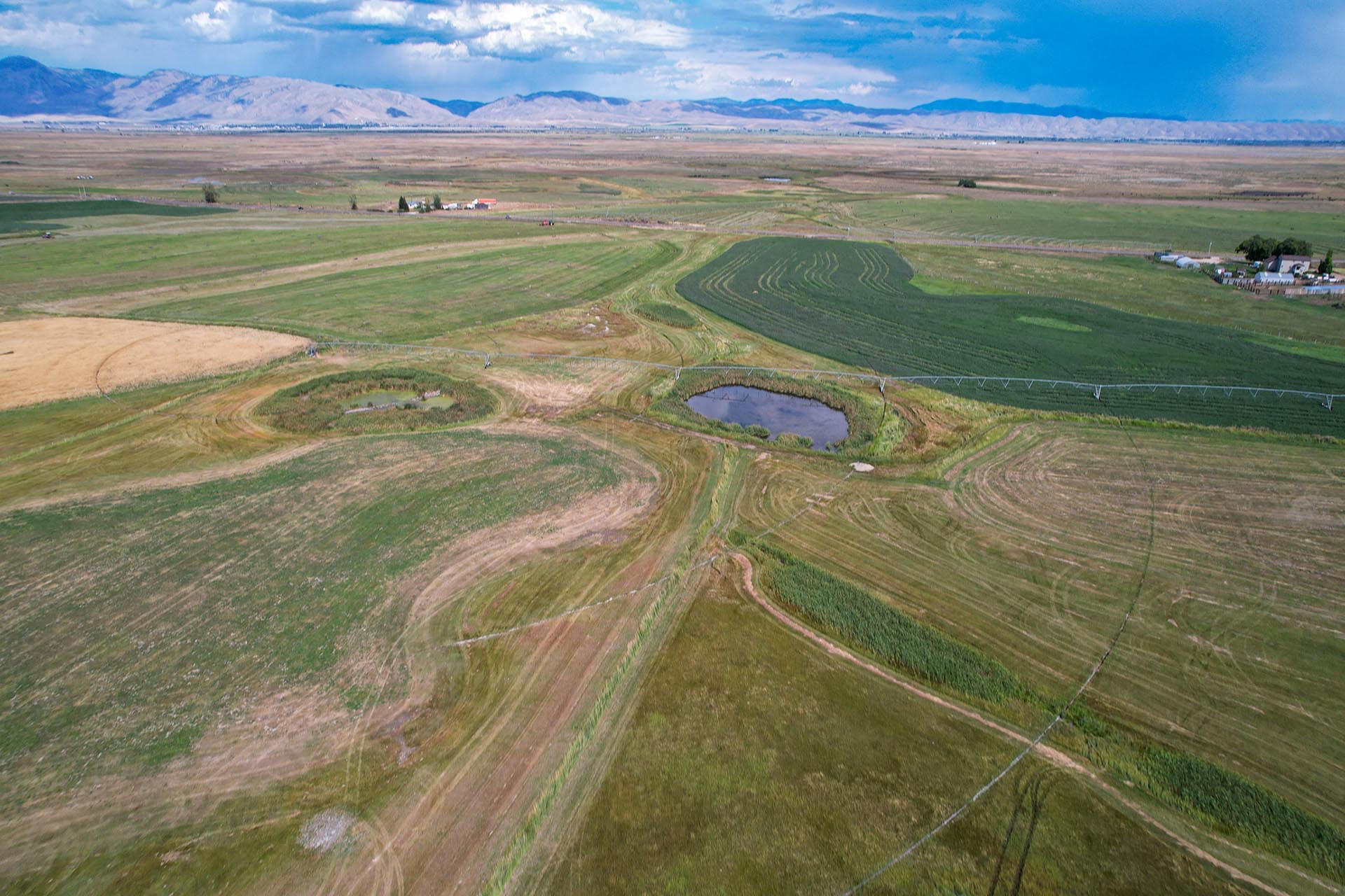 farmland for sale idaho wallentine ranch