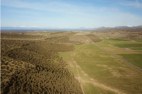 field overview oregon oneil pivots