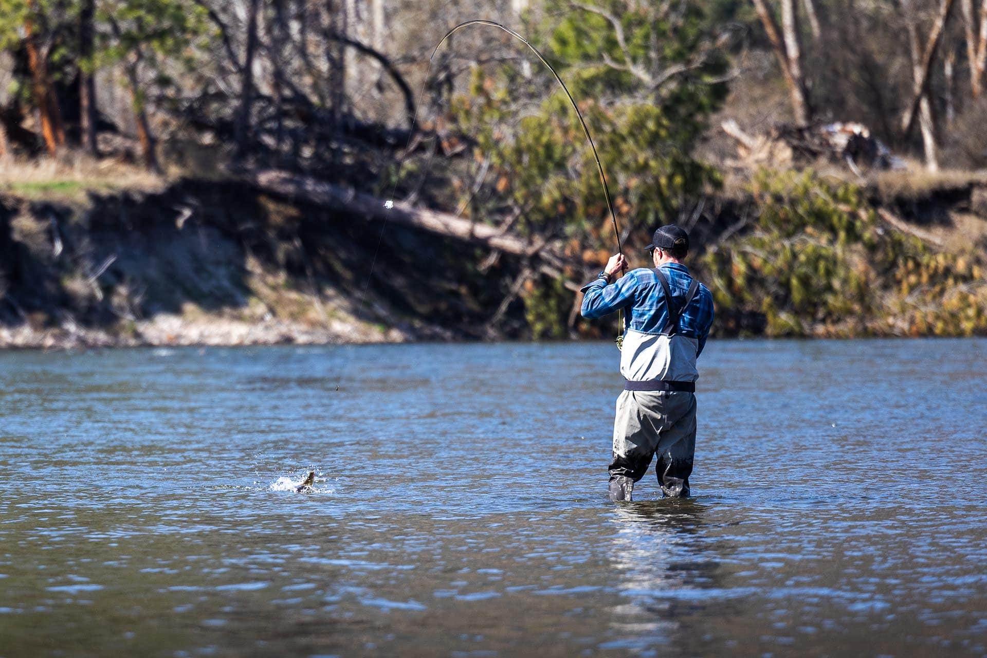 fishing the clark fork montana clark fork timeless river retreat