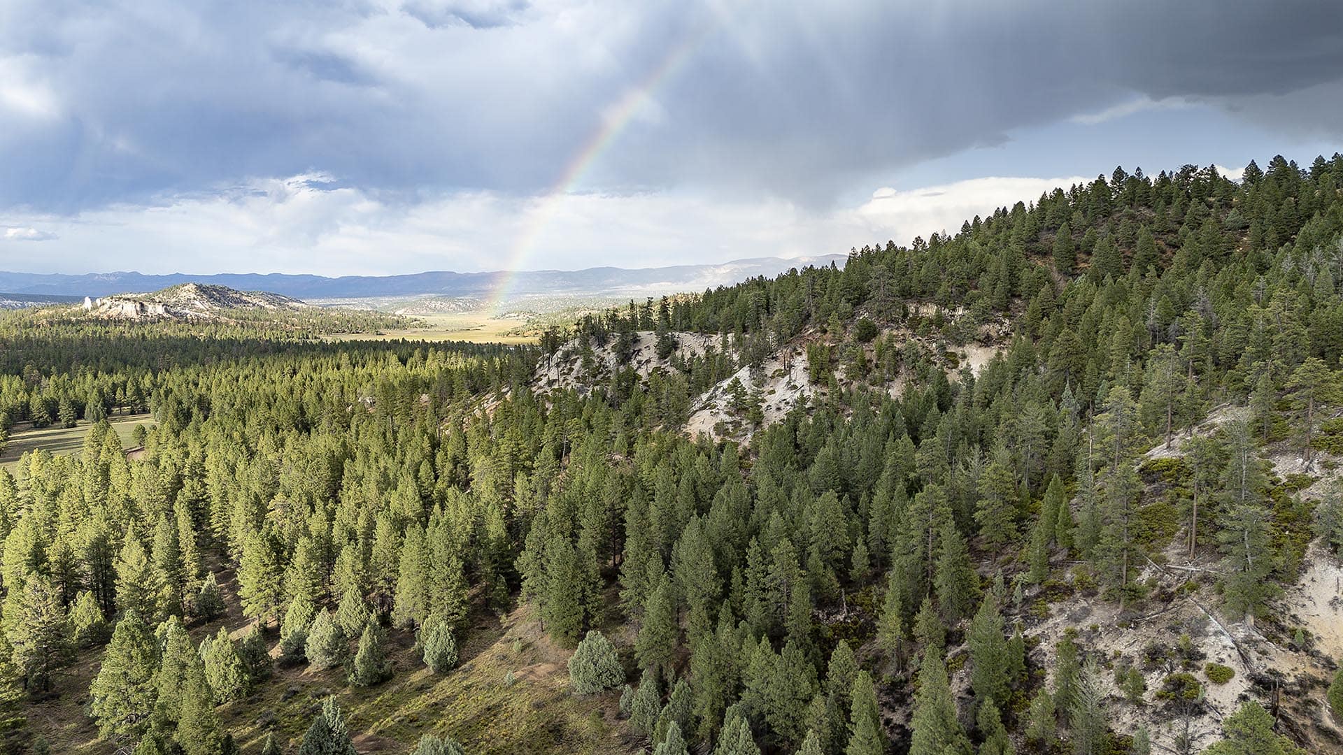 forest and rainbow view land for sale elk ridge estates