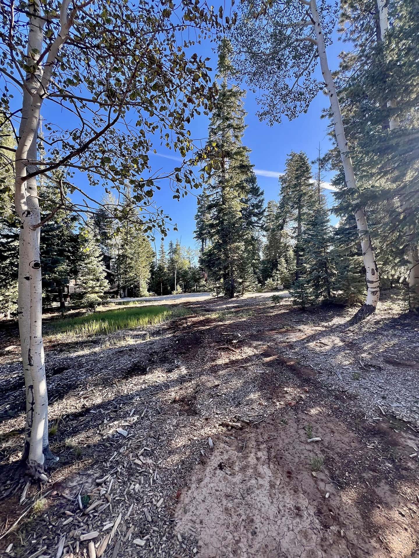 garage area with cabin for sale utah duck creek utah