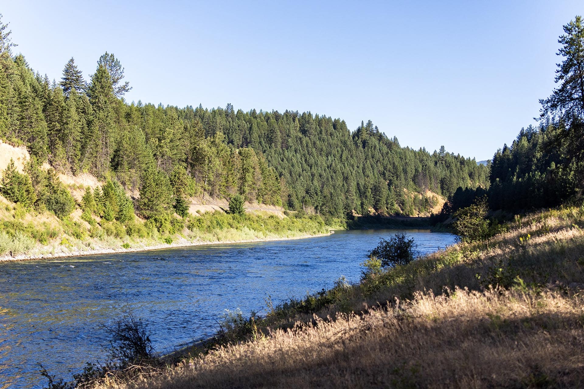 grassy bank montana clark fork timeless river retreat