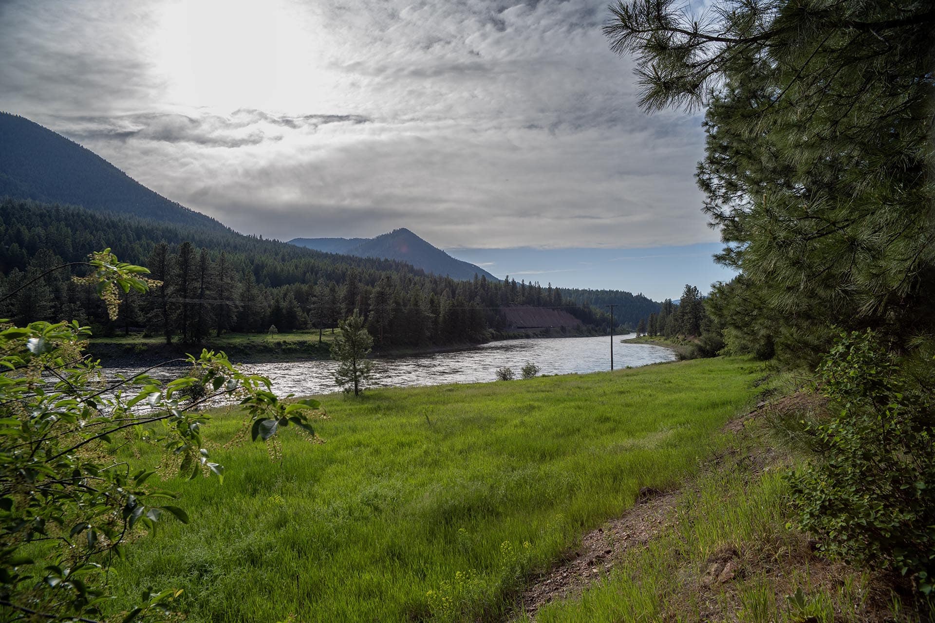 grassy riverbank montana clark fork timeless river retreat
