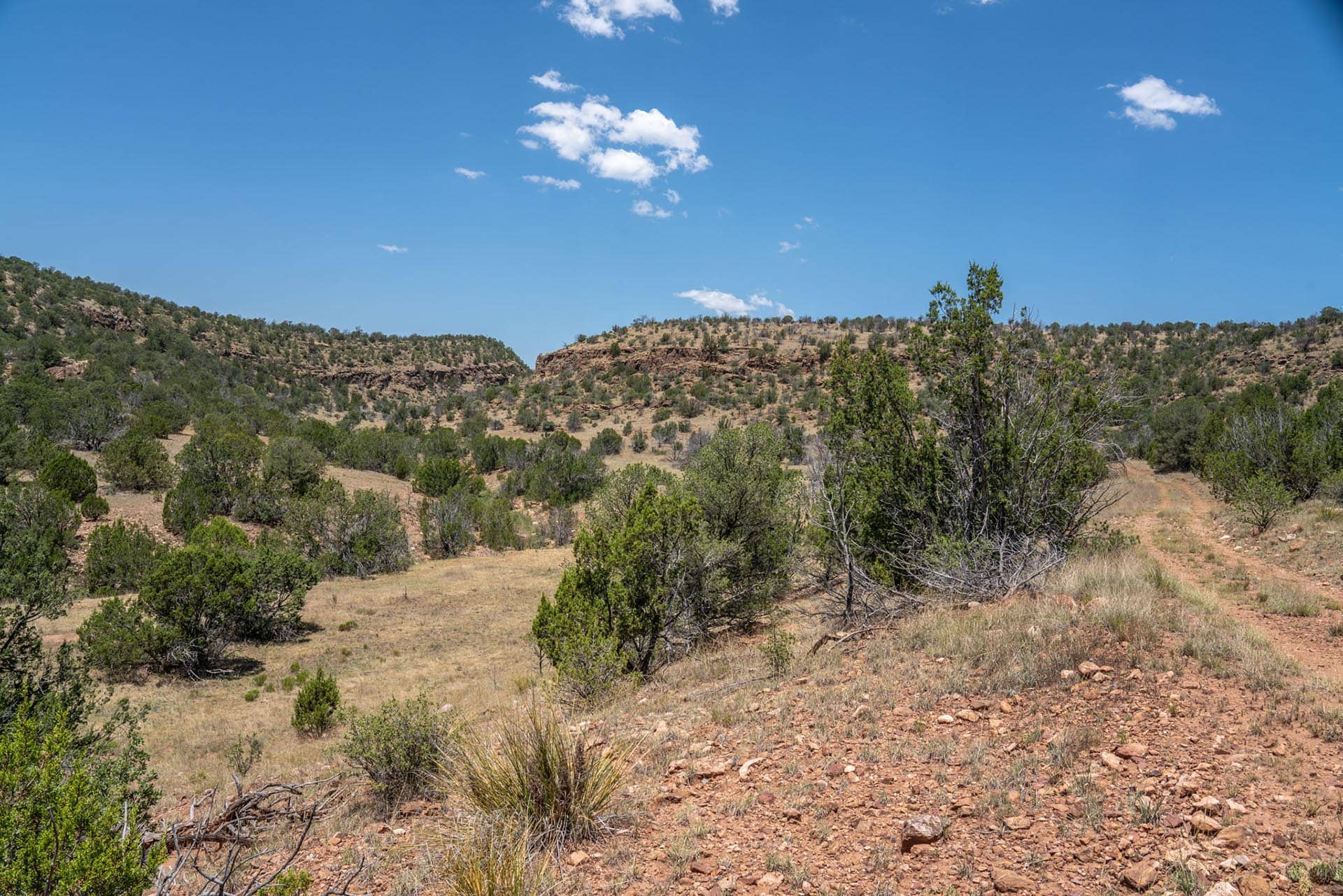 grazing land for sale new mexico eagle rock ranch