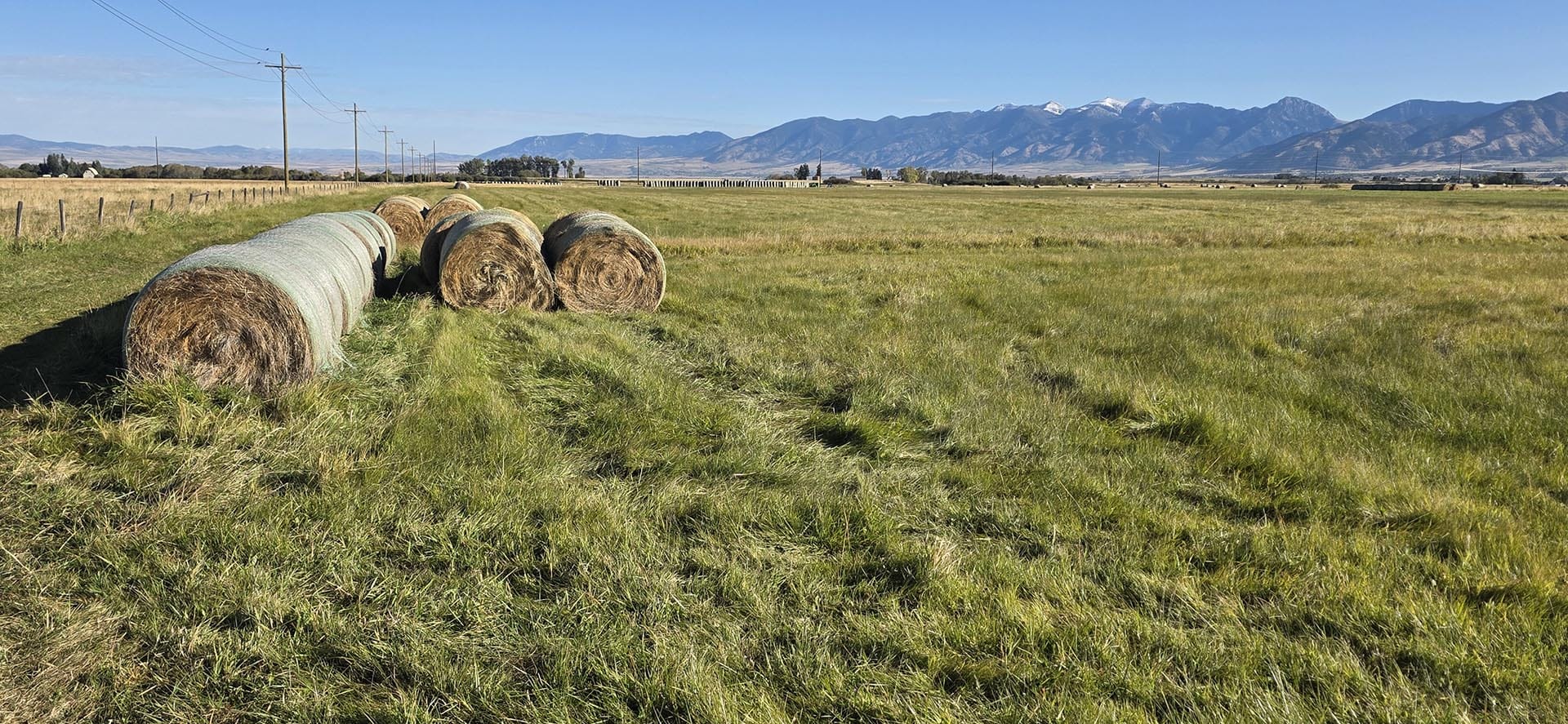 green field hay bales land montana west bozeman homestead