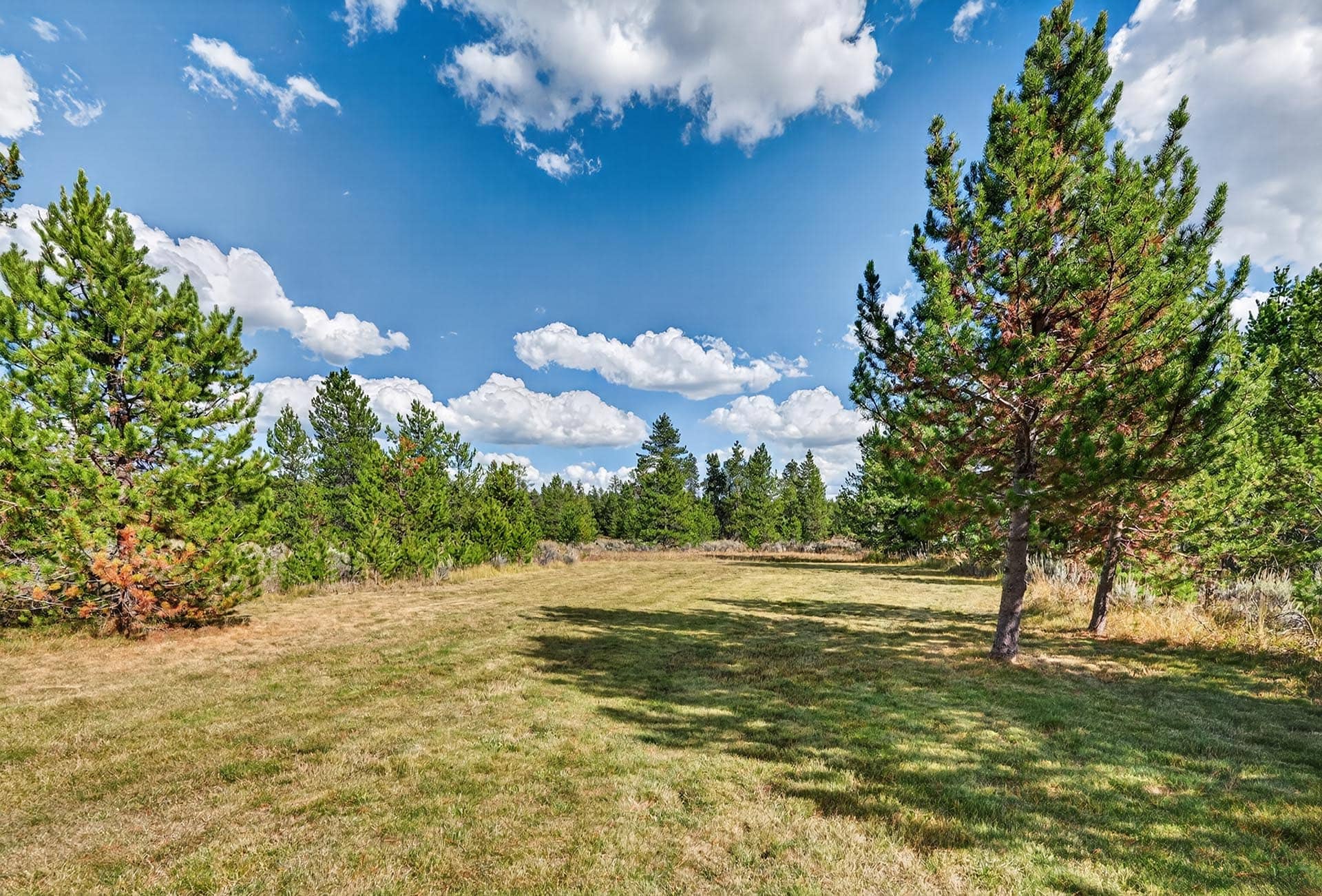 group retreat lodge for sale idaho henrys fork ace high lodge