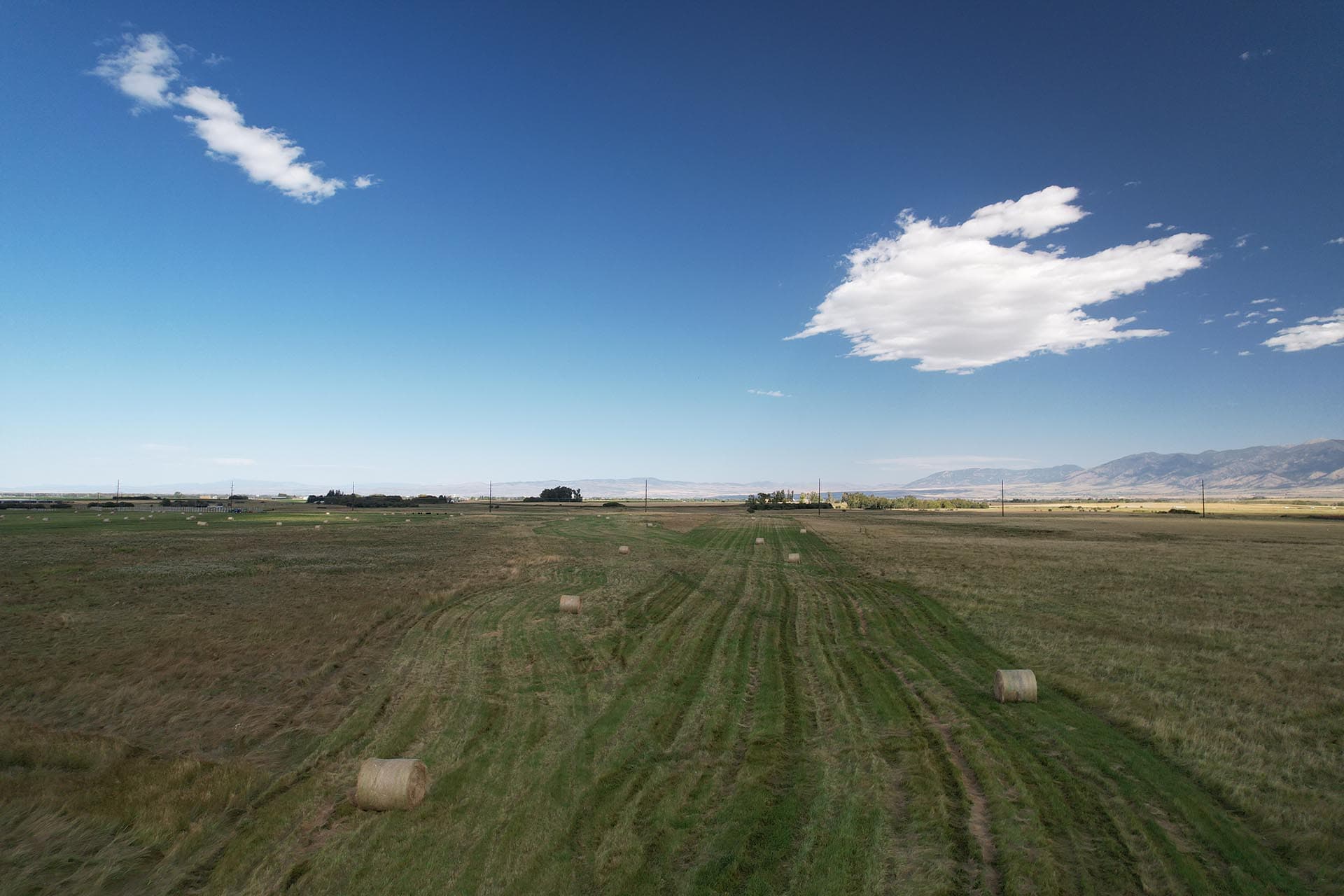 hay production land for sale montana west bozeman homestead