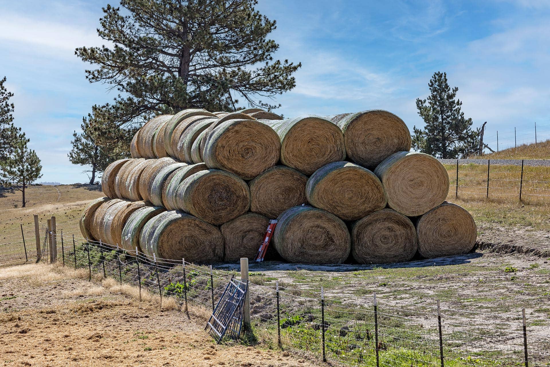 hay production land mt montana greycliff hunting preserve