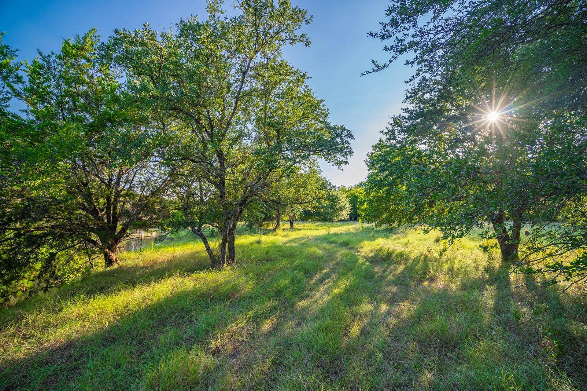 hill country landscape texas gary creek ranch