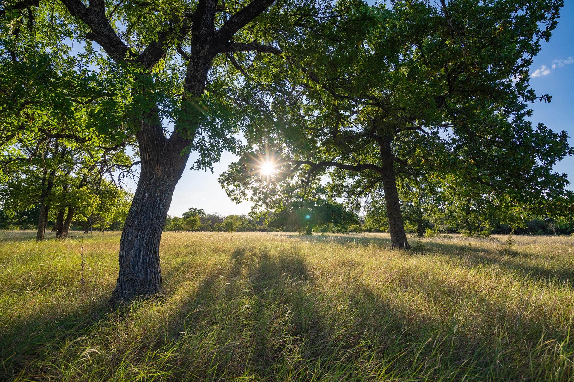 historic ole pierson homestead texas gary creek ranch