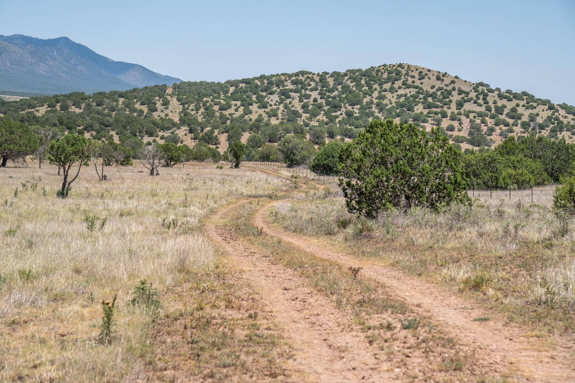 horse property for sale new mexico eagle rock ranch