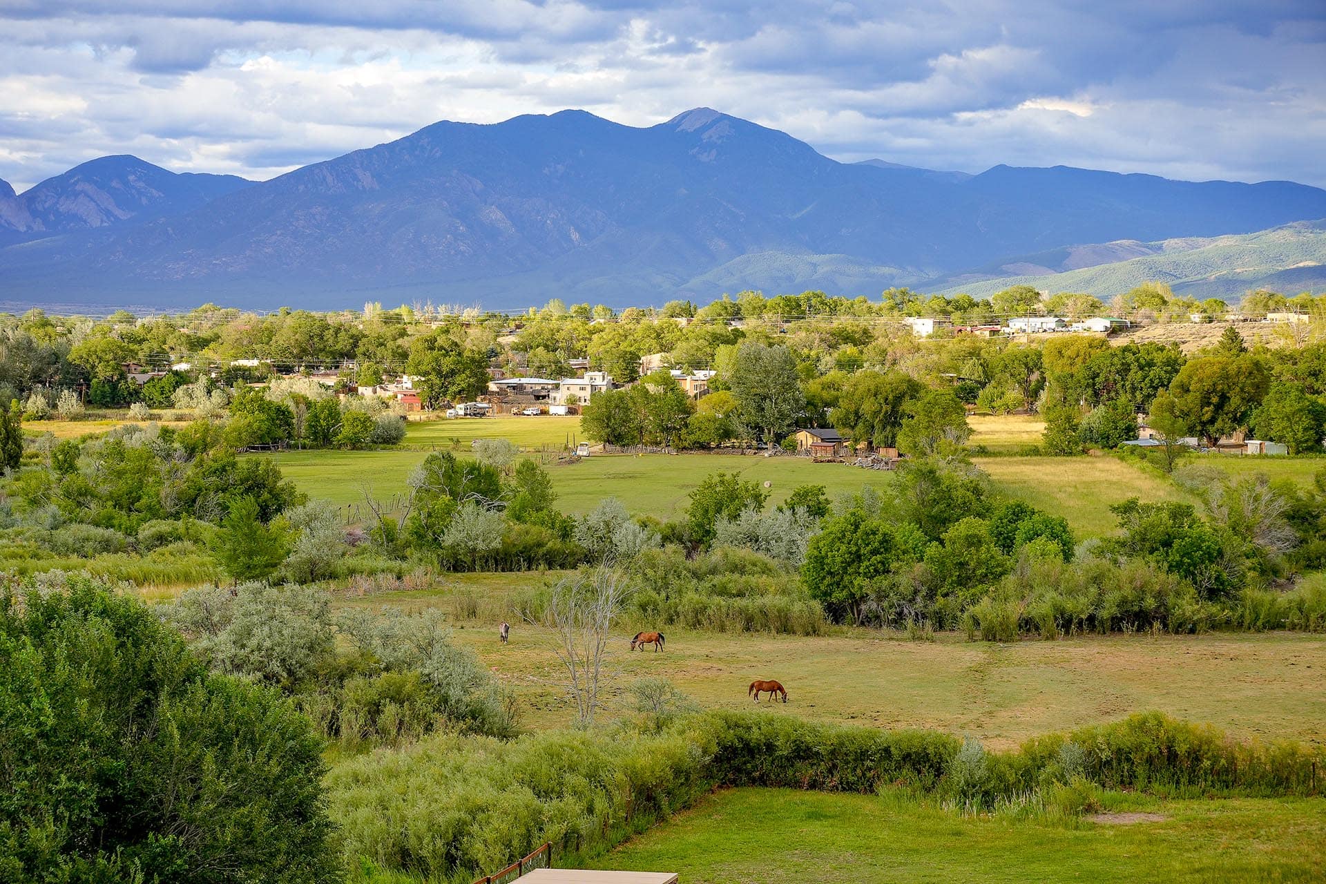 horse property for sale with mountain views new mexico hacienda de suenos